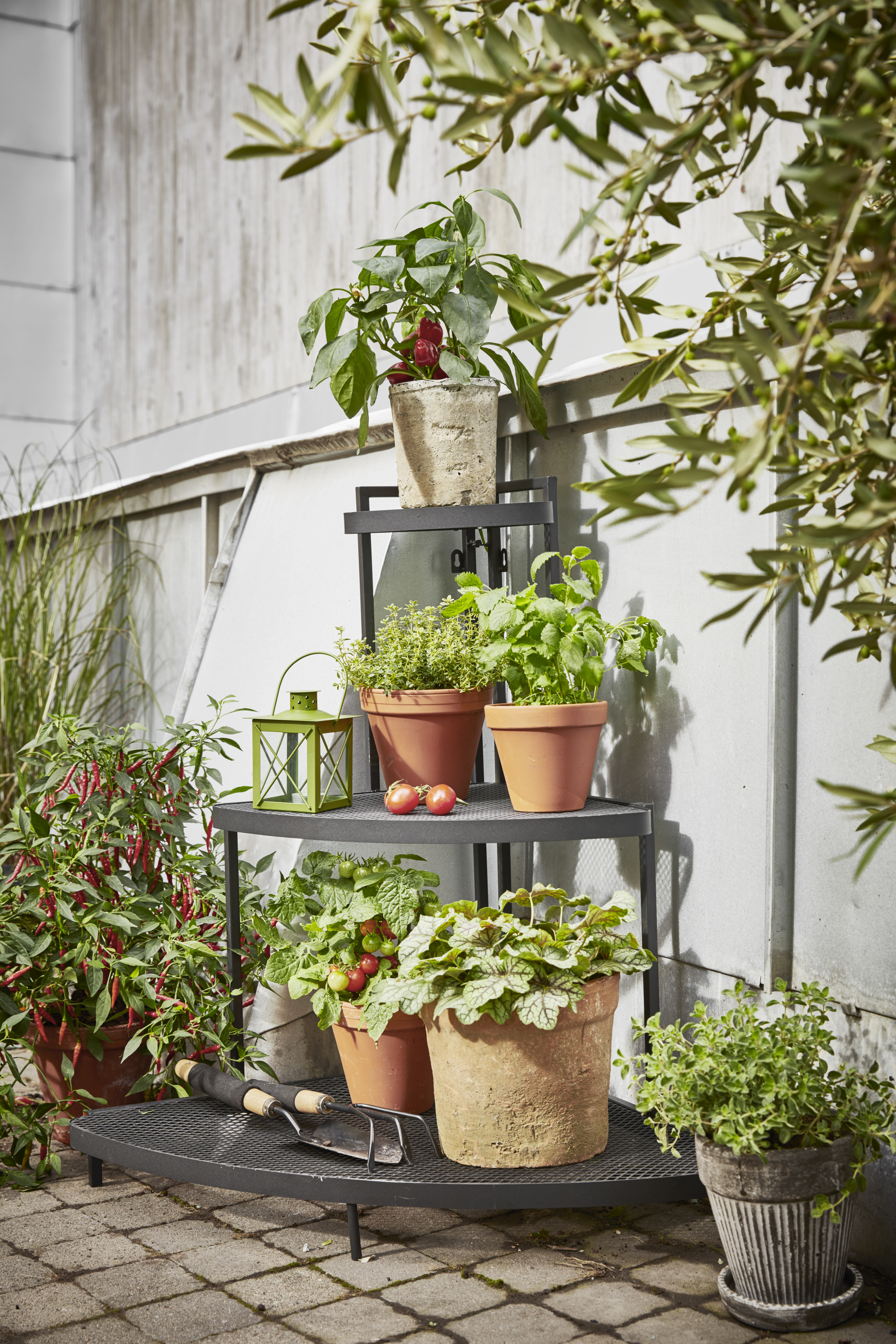 Plant pot D26 terracotta