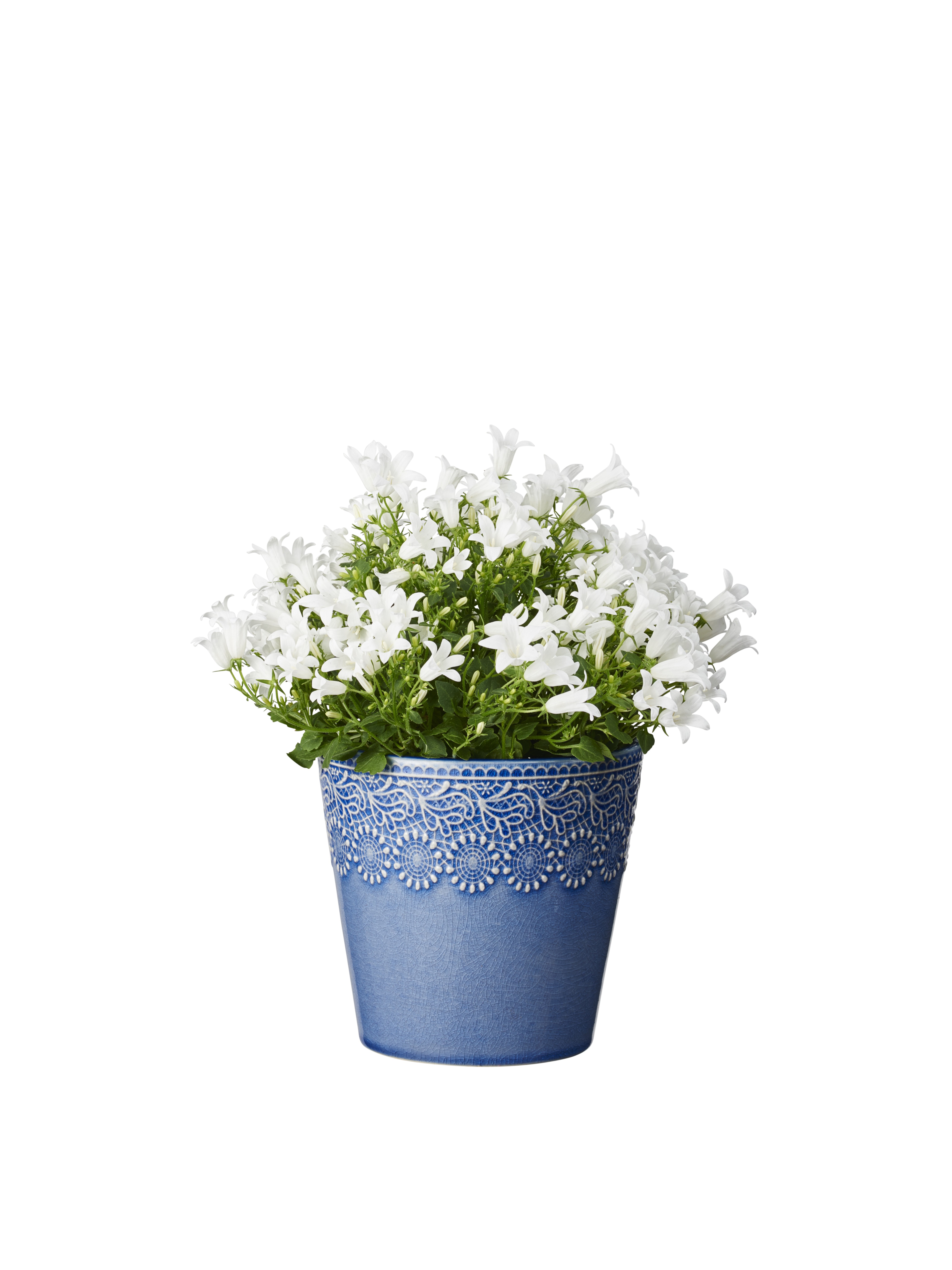 Krypklokke 'Get Mee'