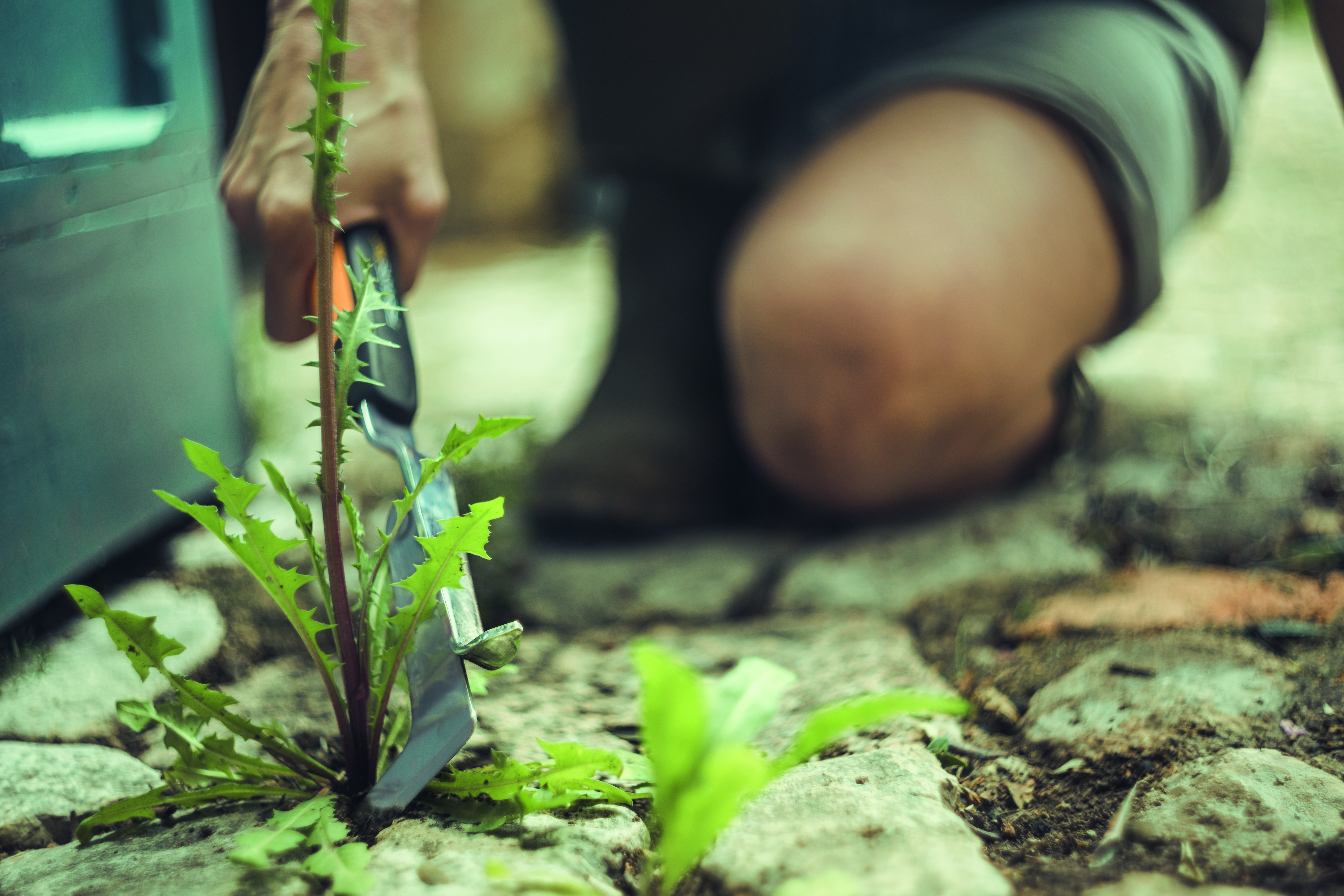 Xact Small Weeding Knife