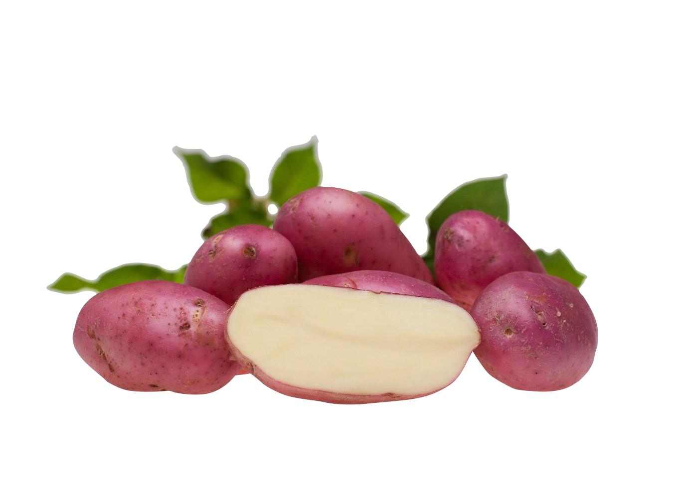 Settepotet Asterix 2,5 Kg