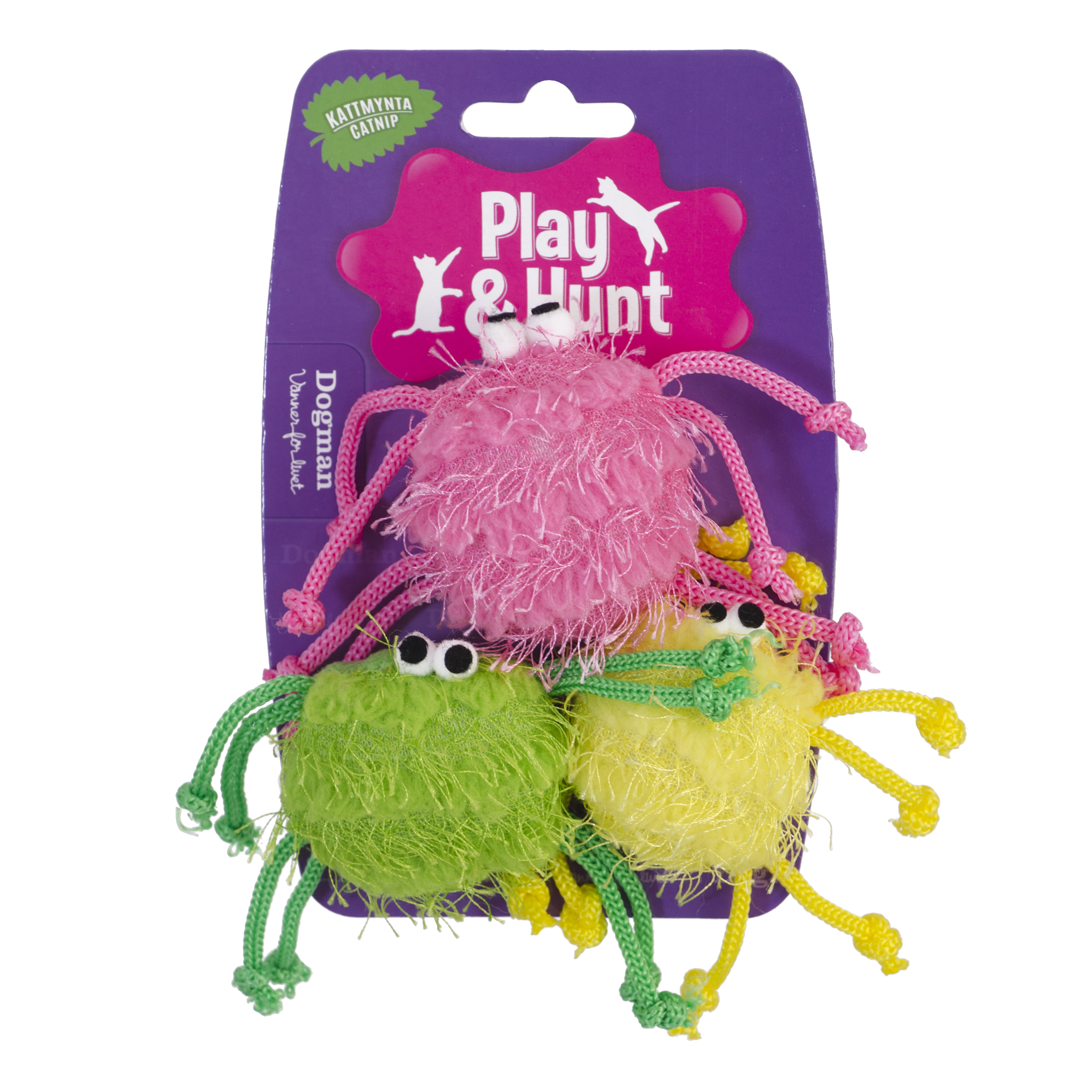 Katteleke Edderkopper