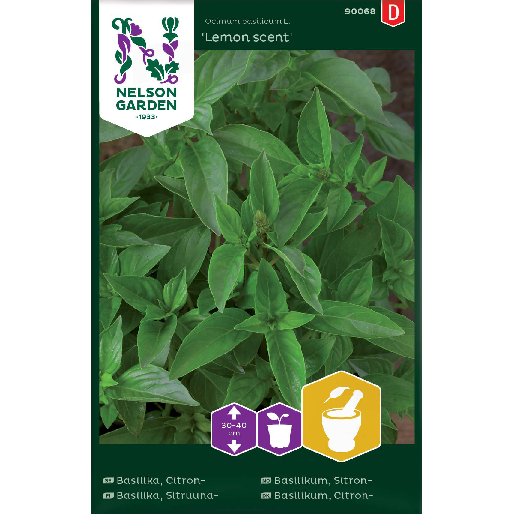 Basilika, Citron-, Lemon scent