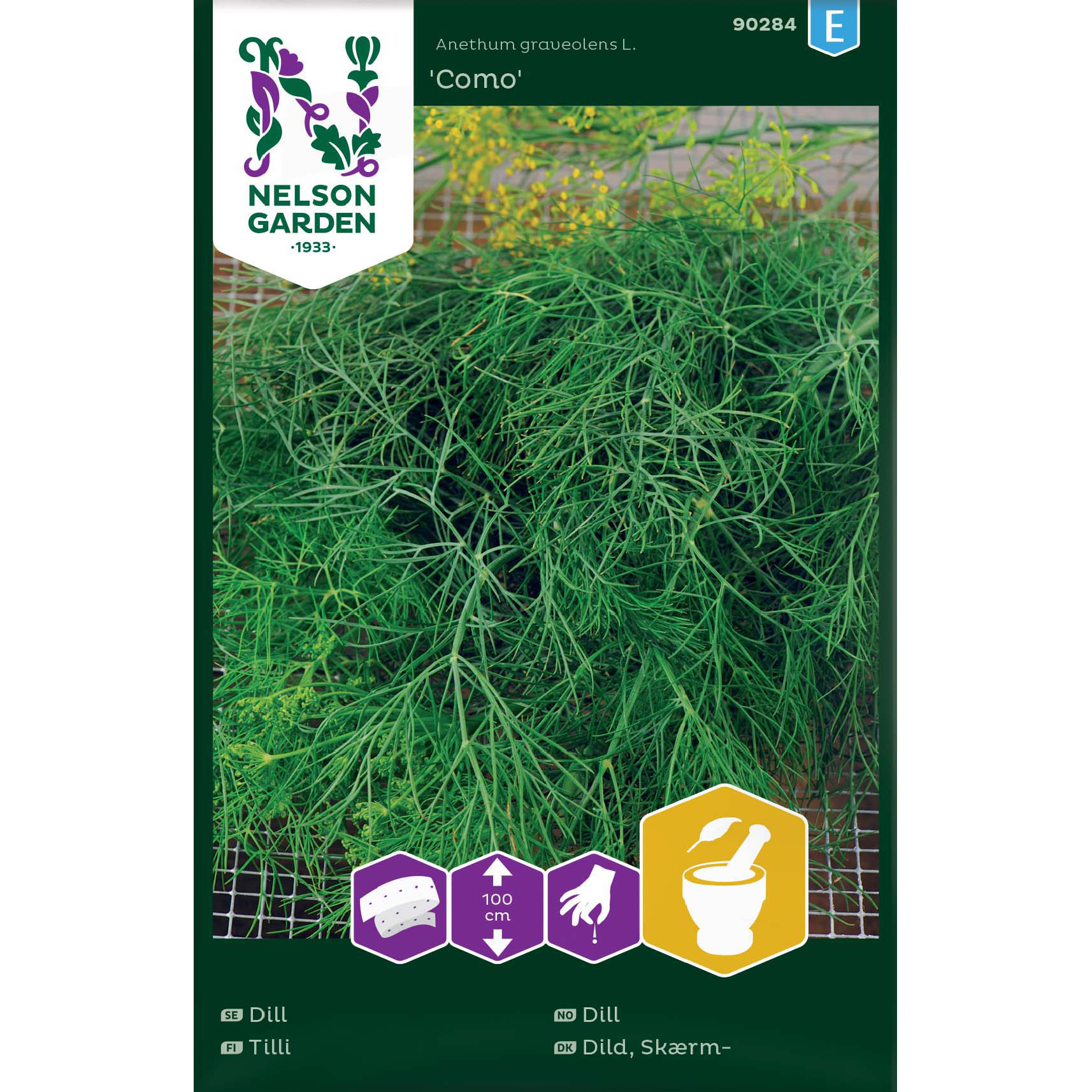 Dill 'Como'