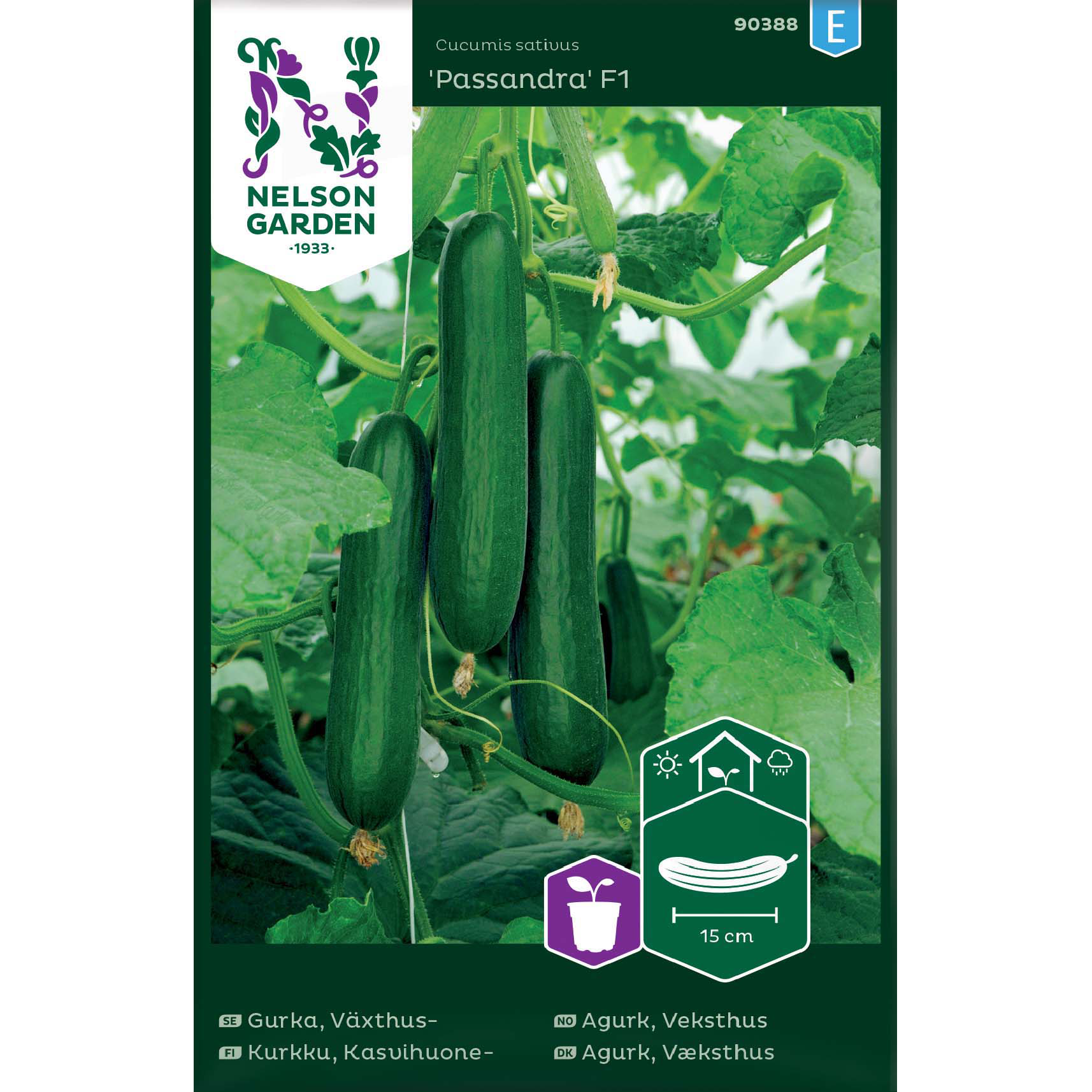 Slanggurka, kort 'Passandra' F1