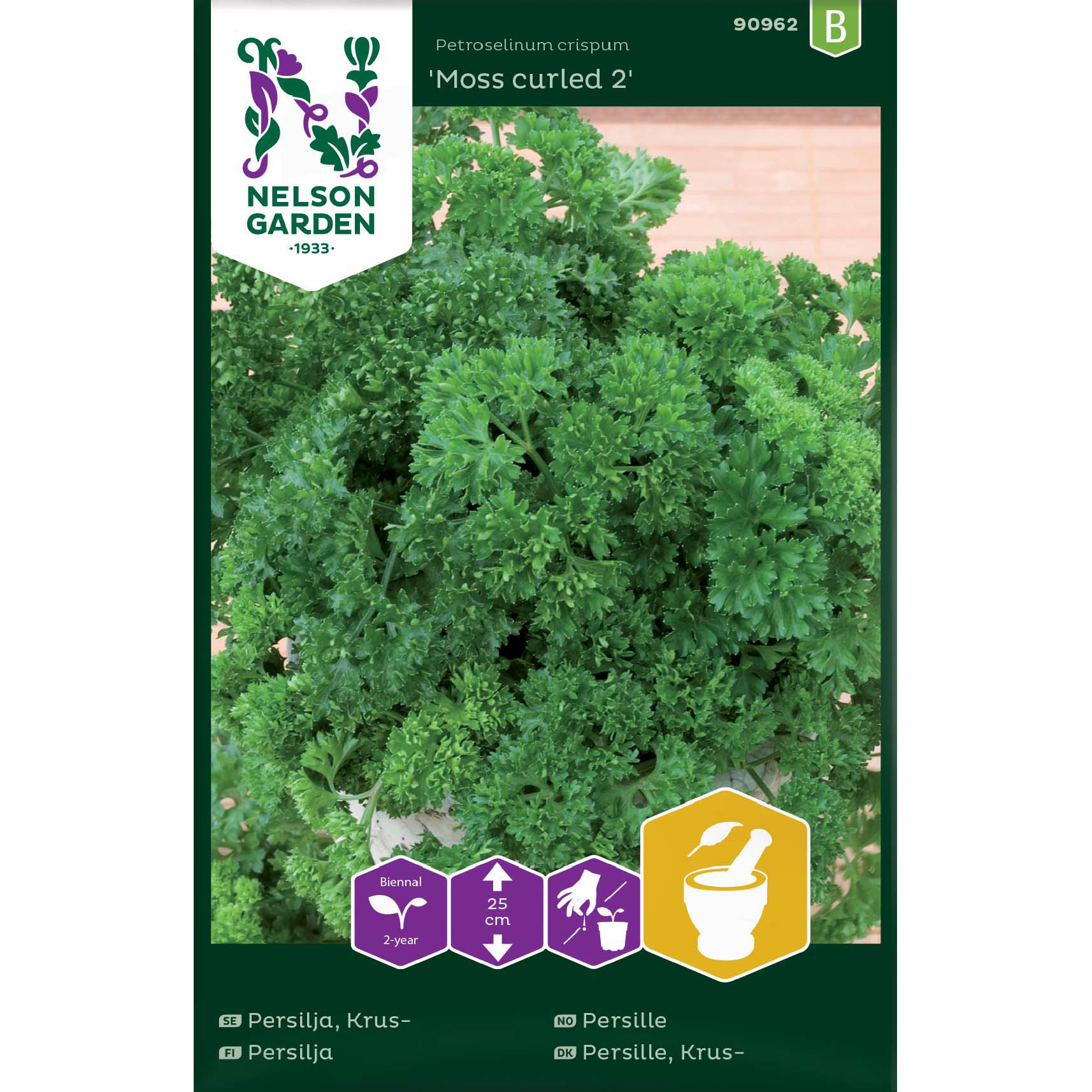 Krusbladig persilja 'Moss curled 2'