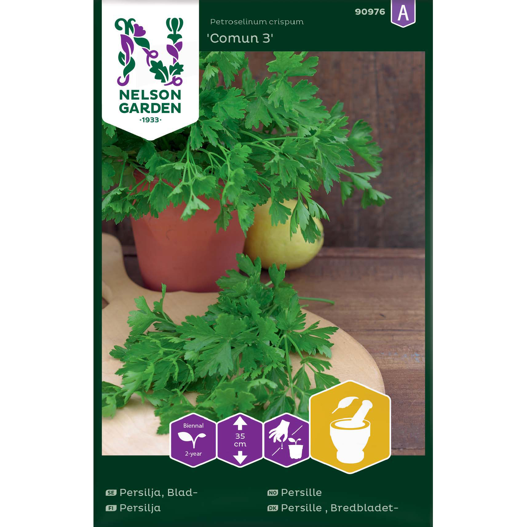 Slätbladig persilja 'Comun 3'