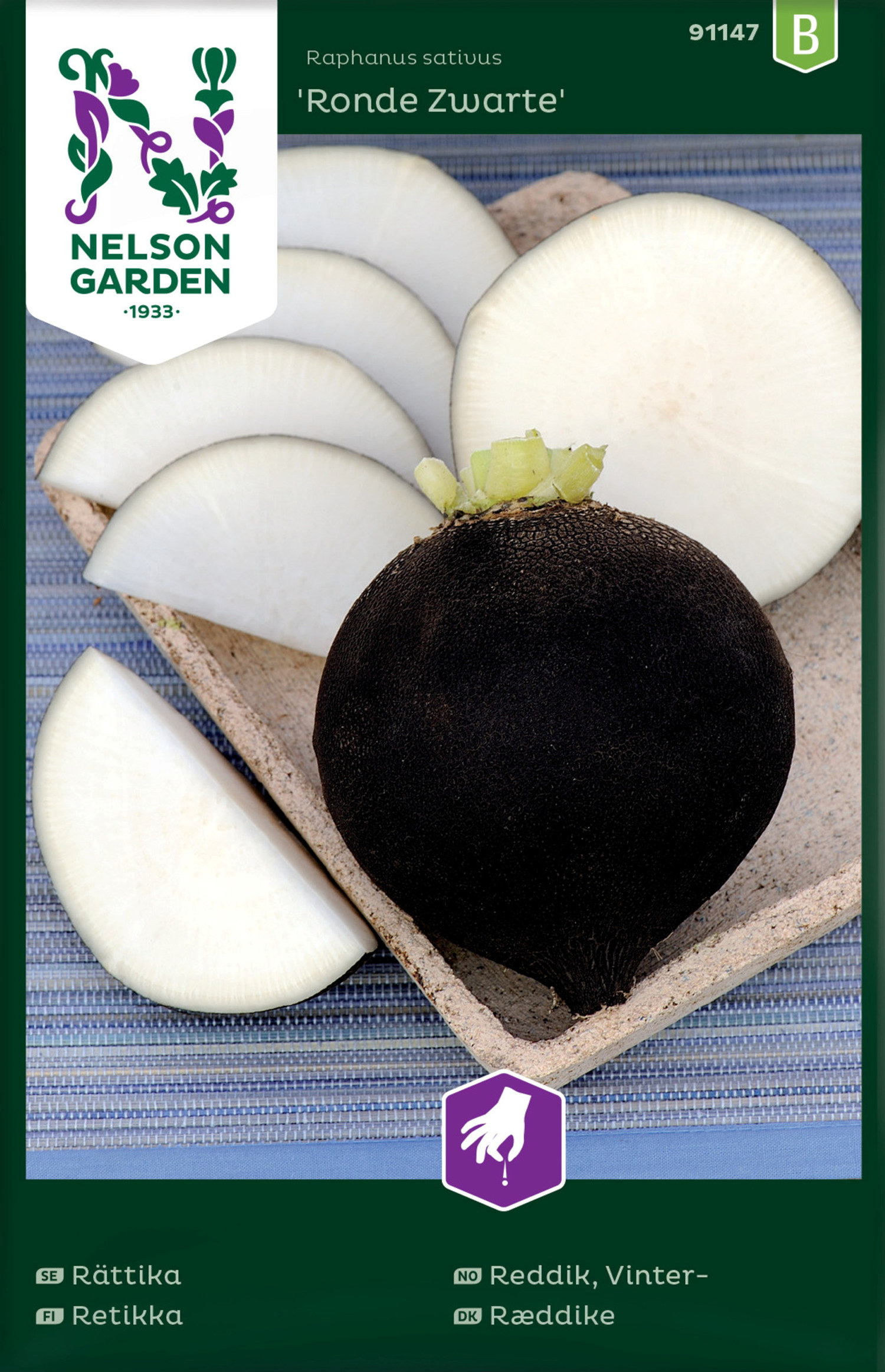 Vinterreddik 'Ronde Zwarte'