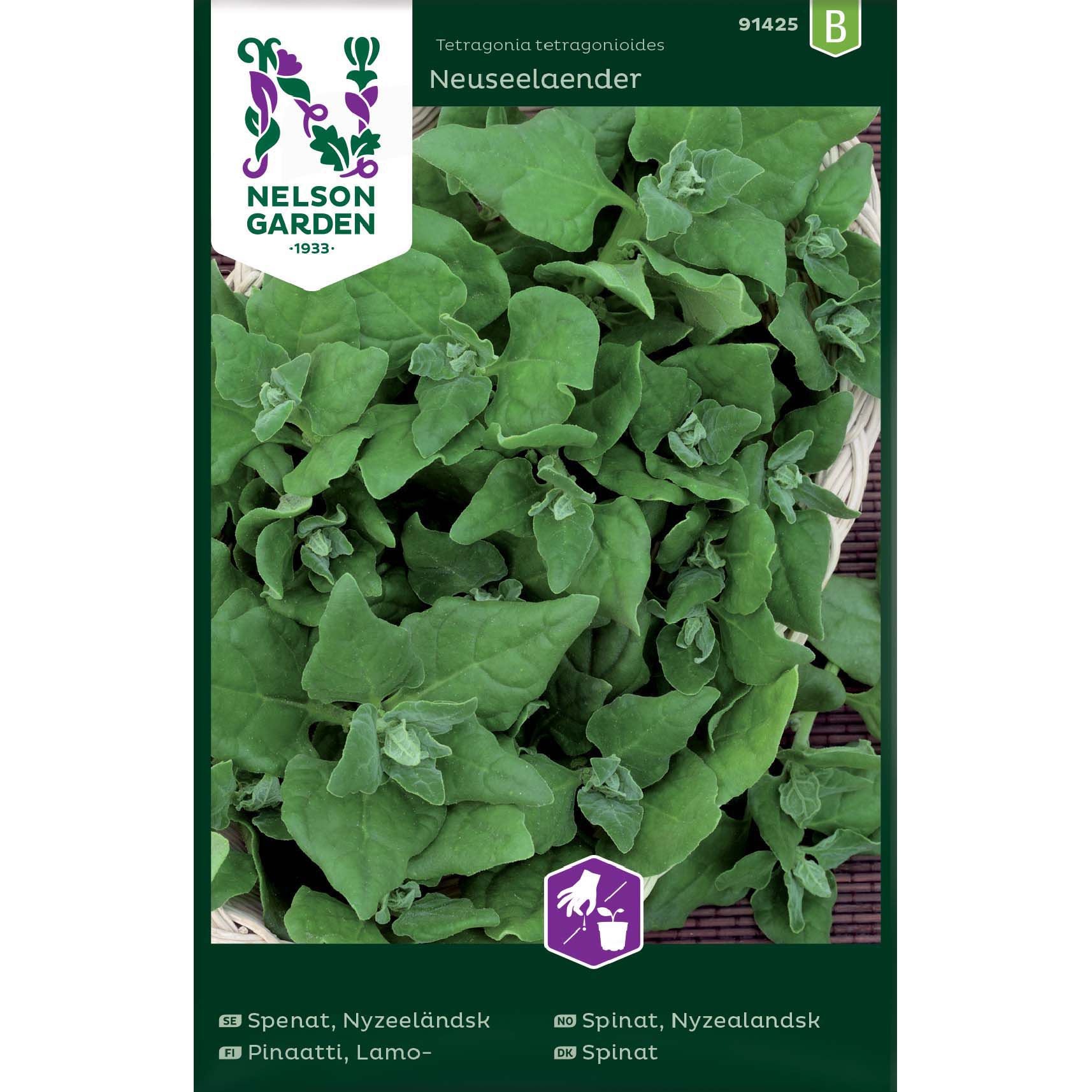 Nyzealandsk spinat 'Neuseelaender'