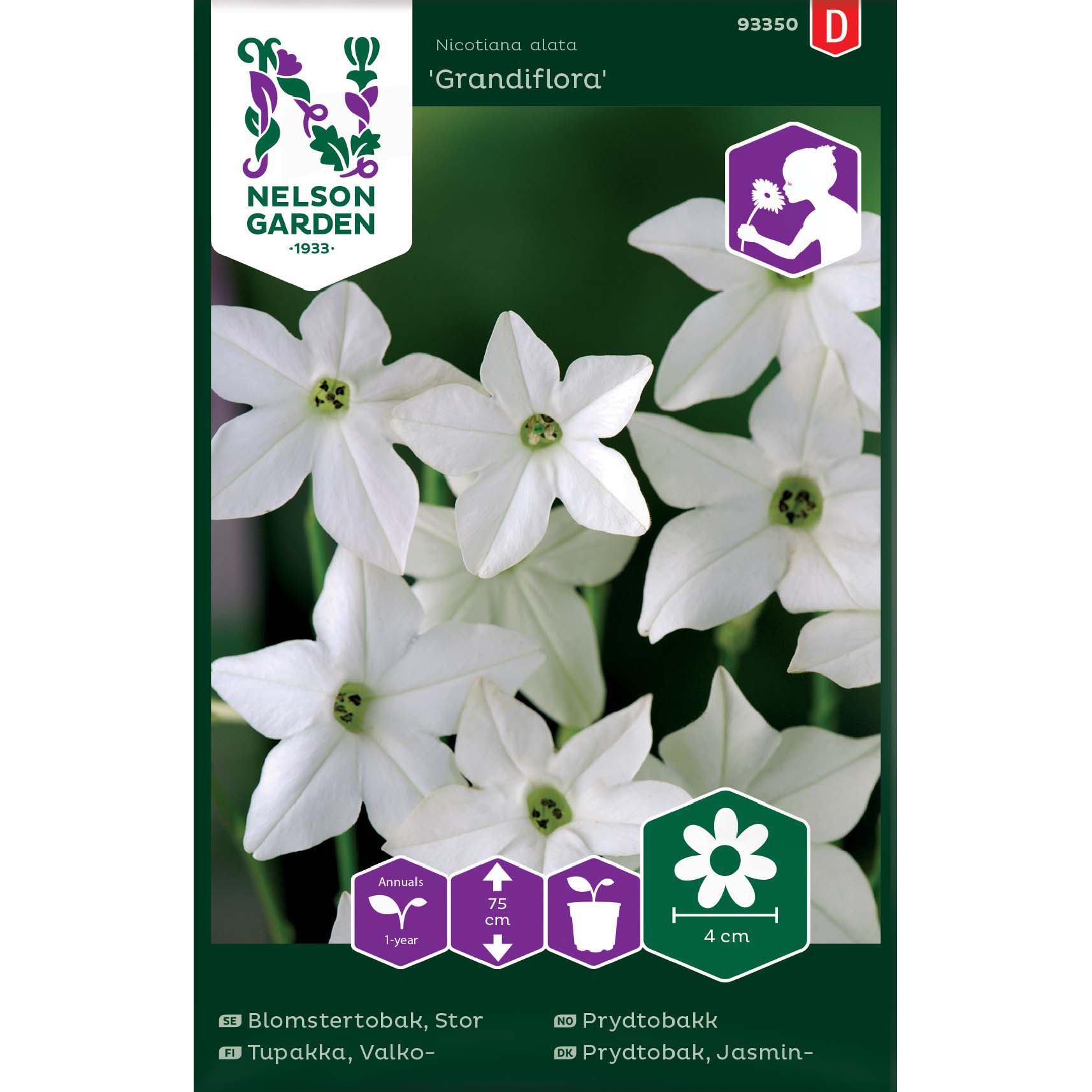 Prydtobakk 'Grandiflora'