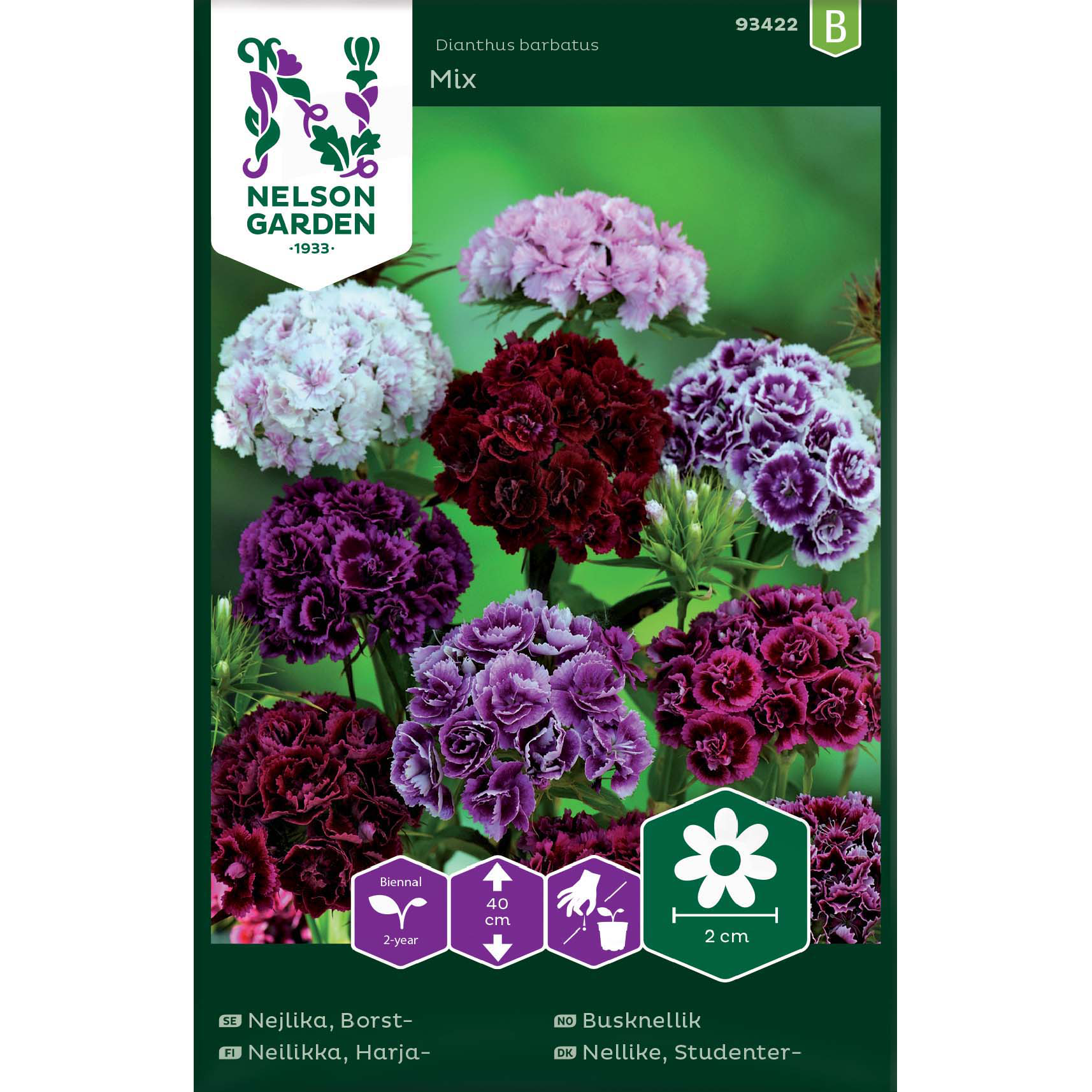 Nejlika, Borst-, Dubbel, bl fä