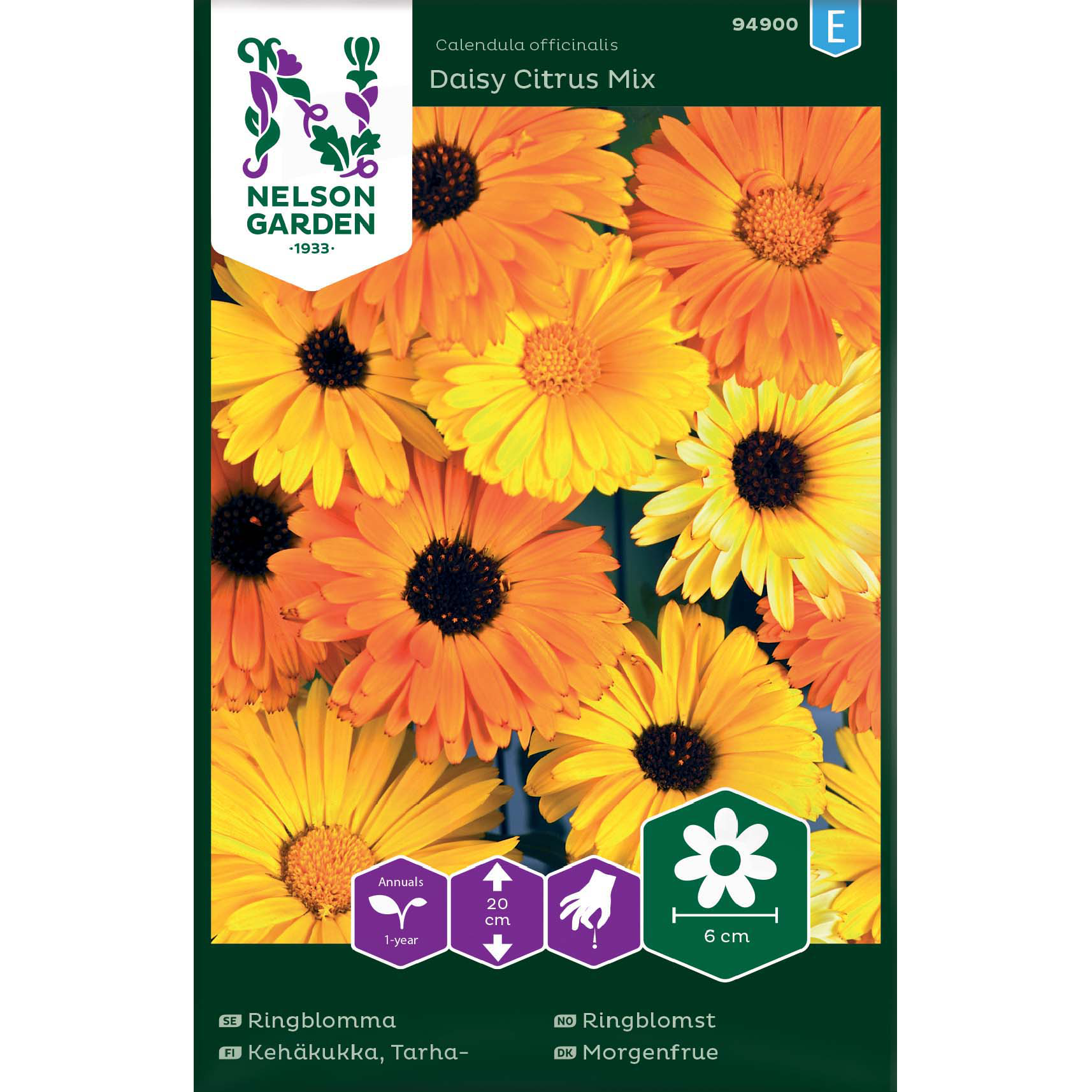 Ringblomma, Daisy Citrus Mix,