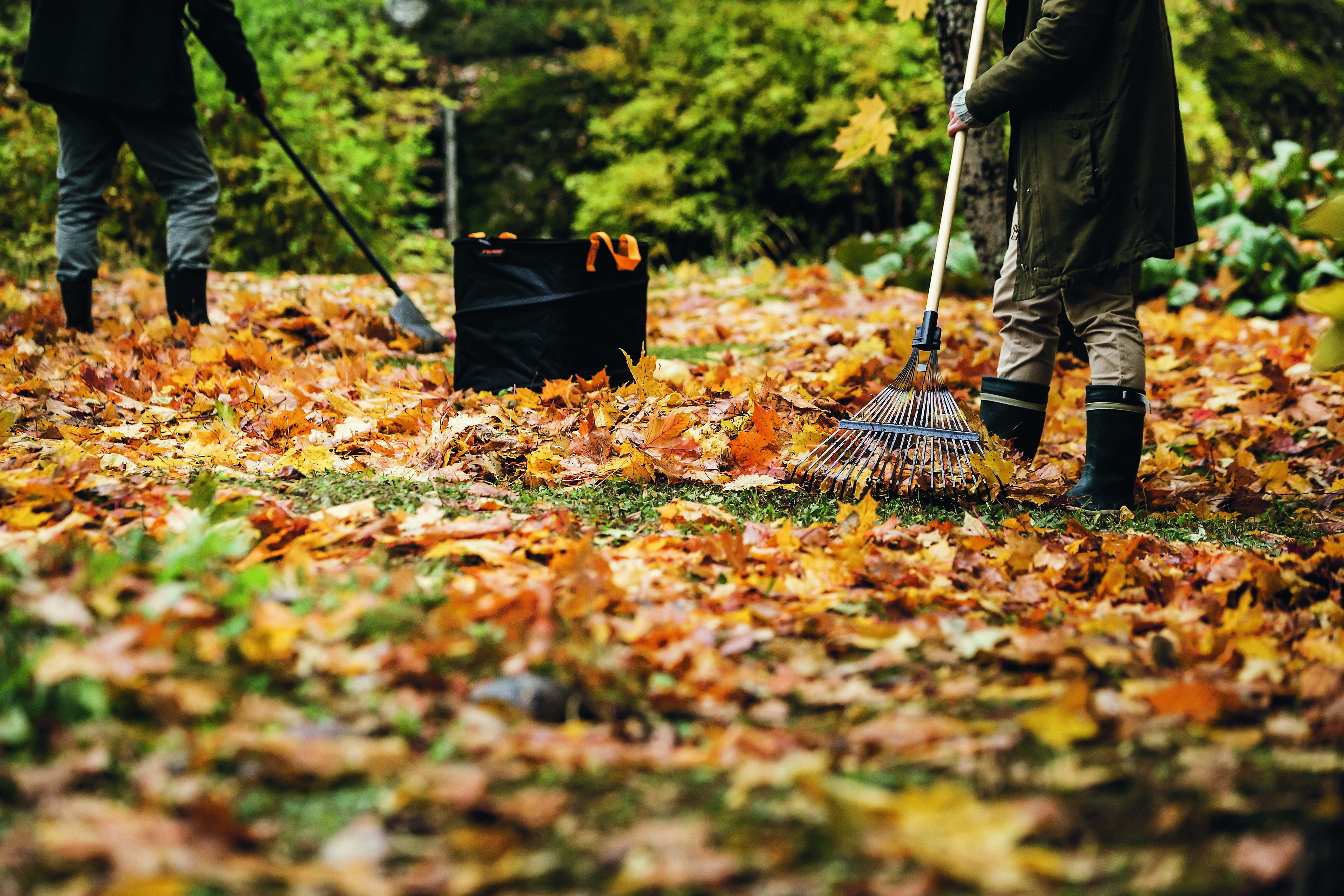 Lövräfsa 20-tandad
