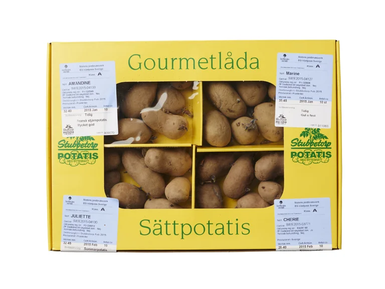 Sättpotatis Gourmétlådan 4 Sorter