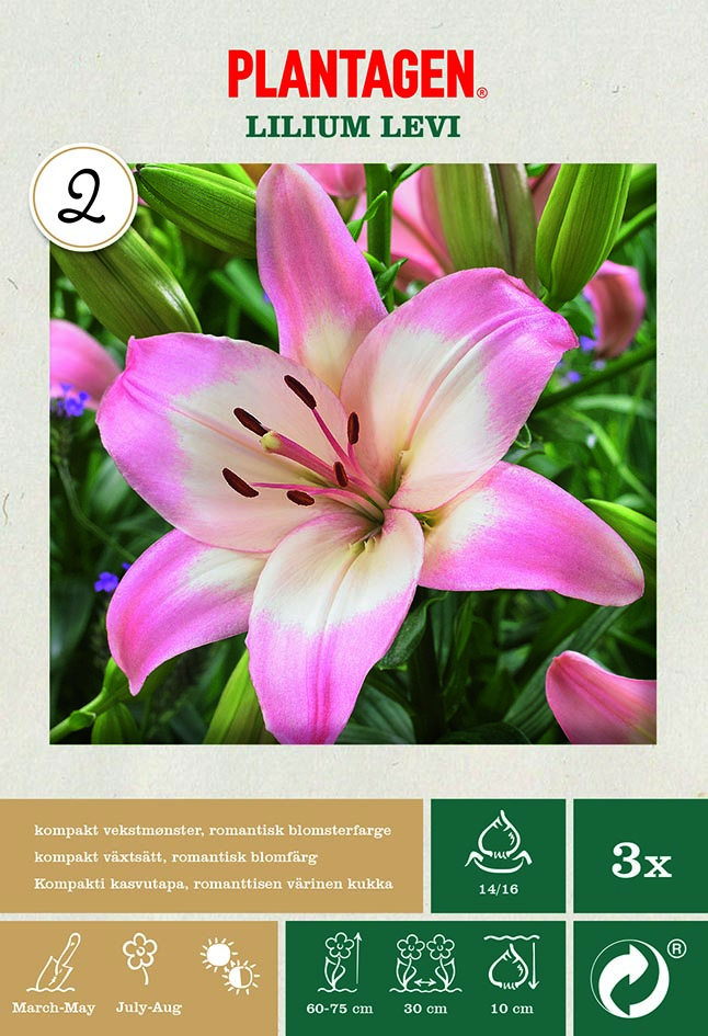Blomsterlok Plantasjen () Blomsterlok Plantasjen