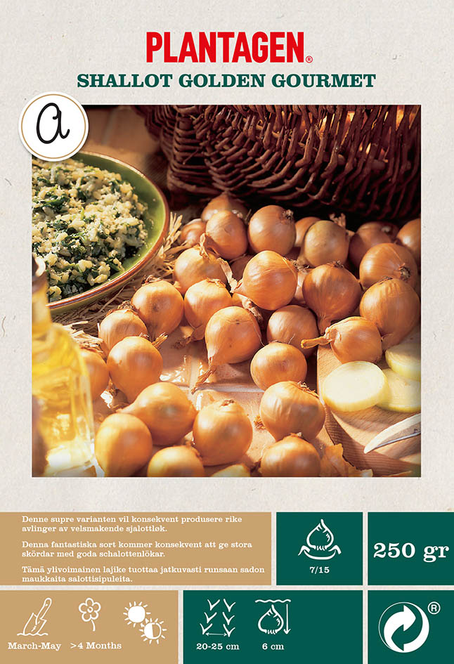 Sjalottløk 'Golden Gourmet'