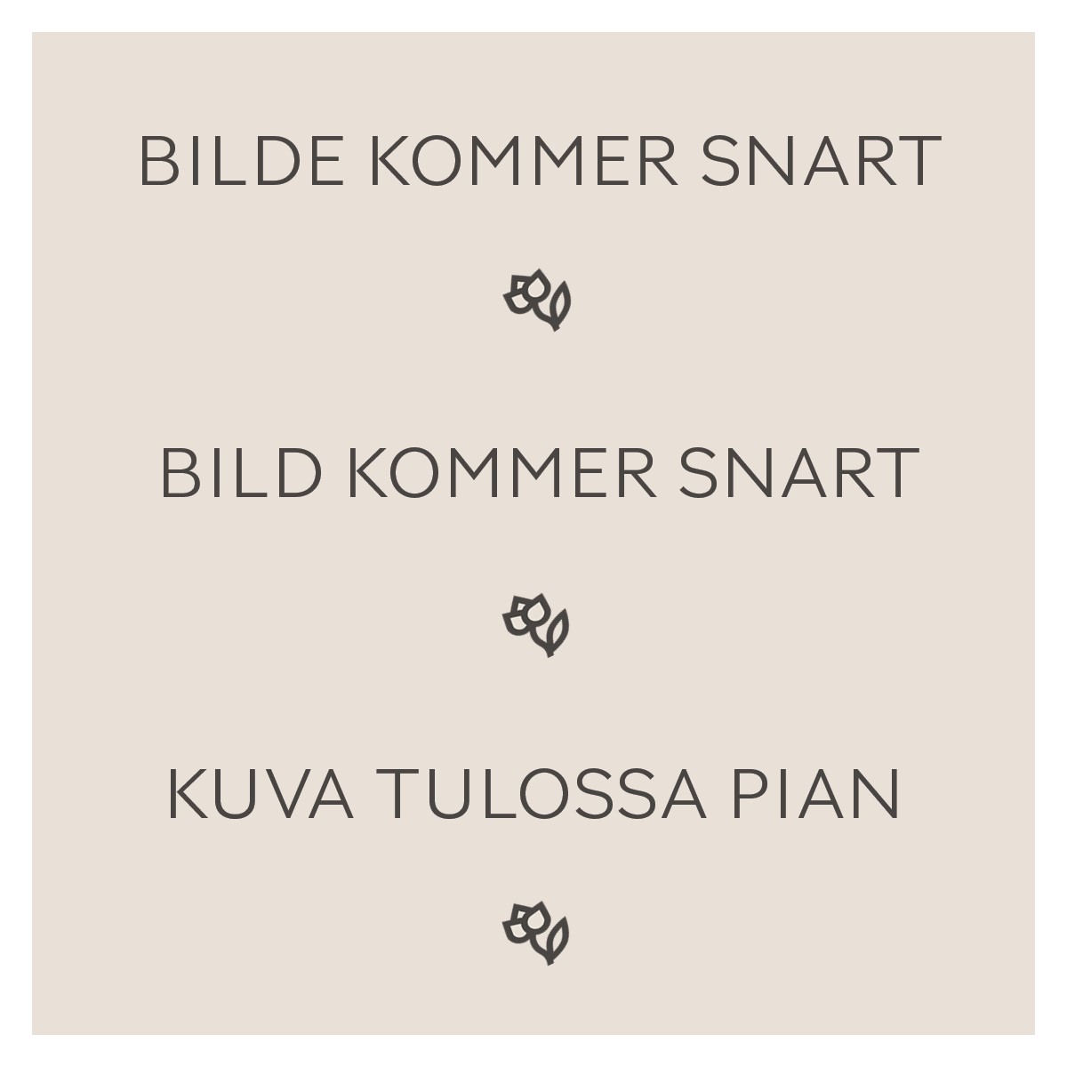 Løk 'Red Braunschweiger'