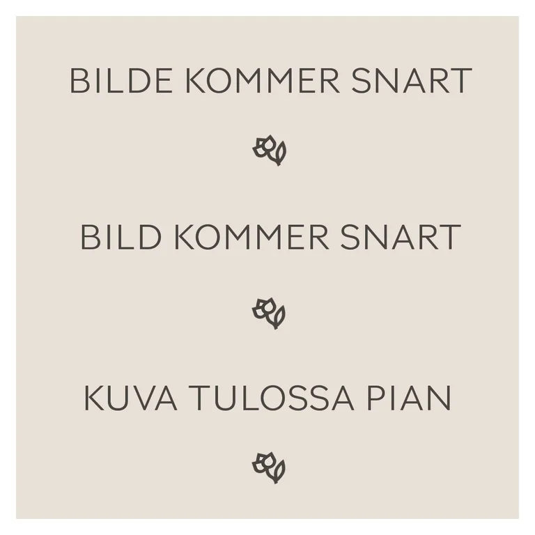 Rödlök Braunschweiger