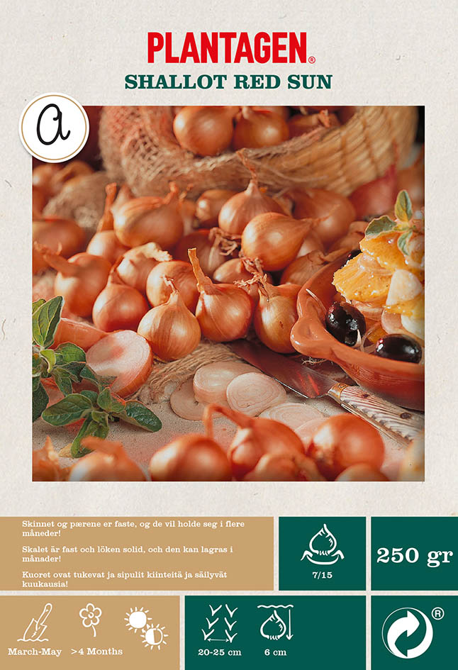 Sjalottløk 'Red Sun'