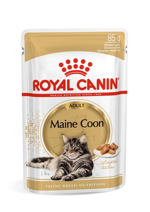 Royal Canin Maine coon Adult