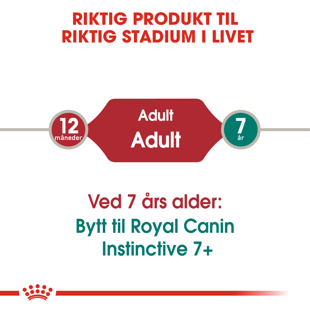 Royal Canin Instinctive Saus