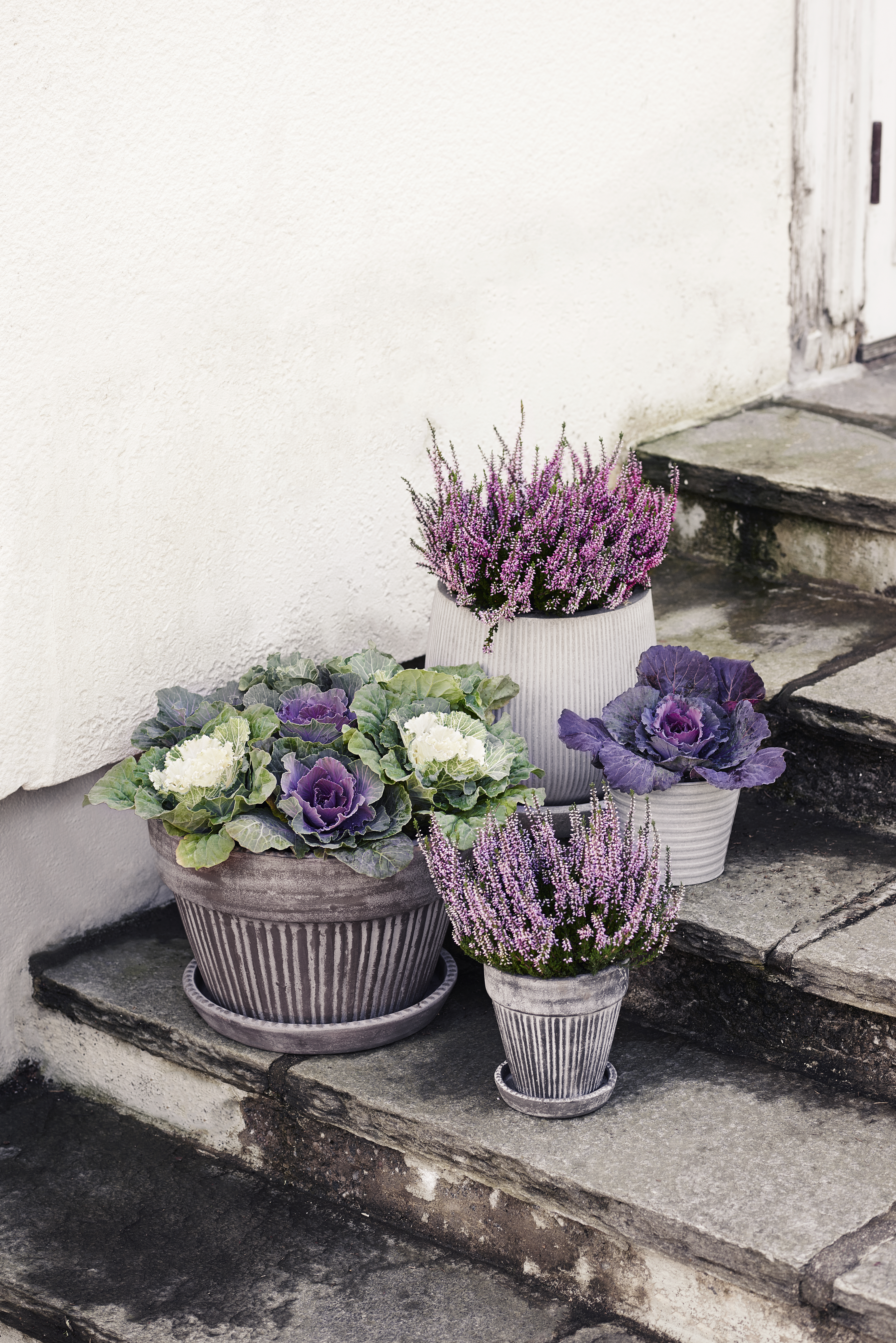 All Nature Røsslyng