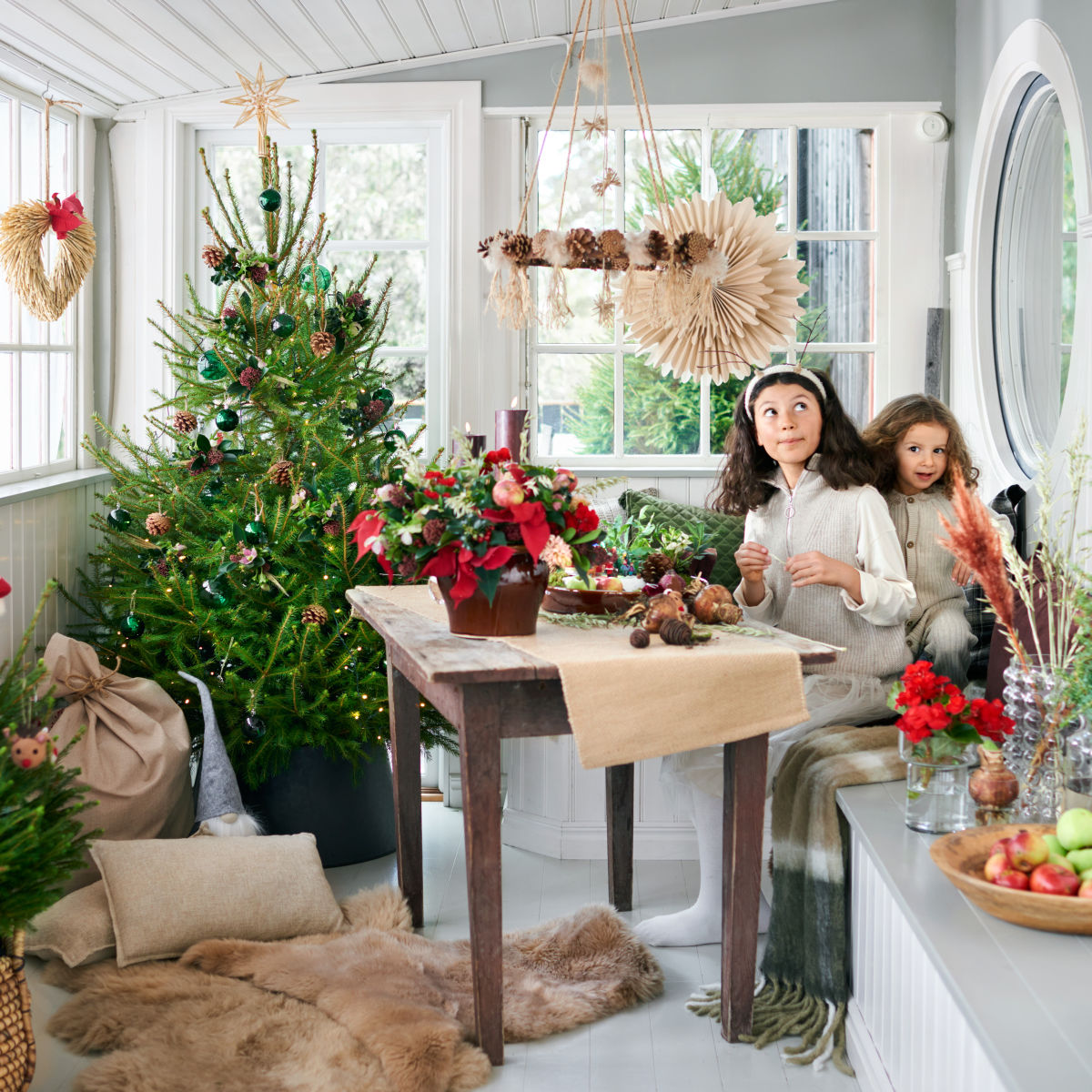 Picea abies 120-170 cm