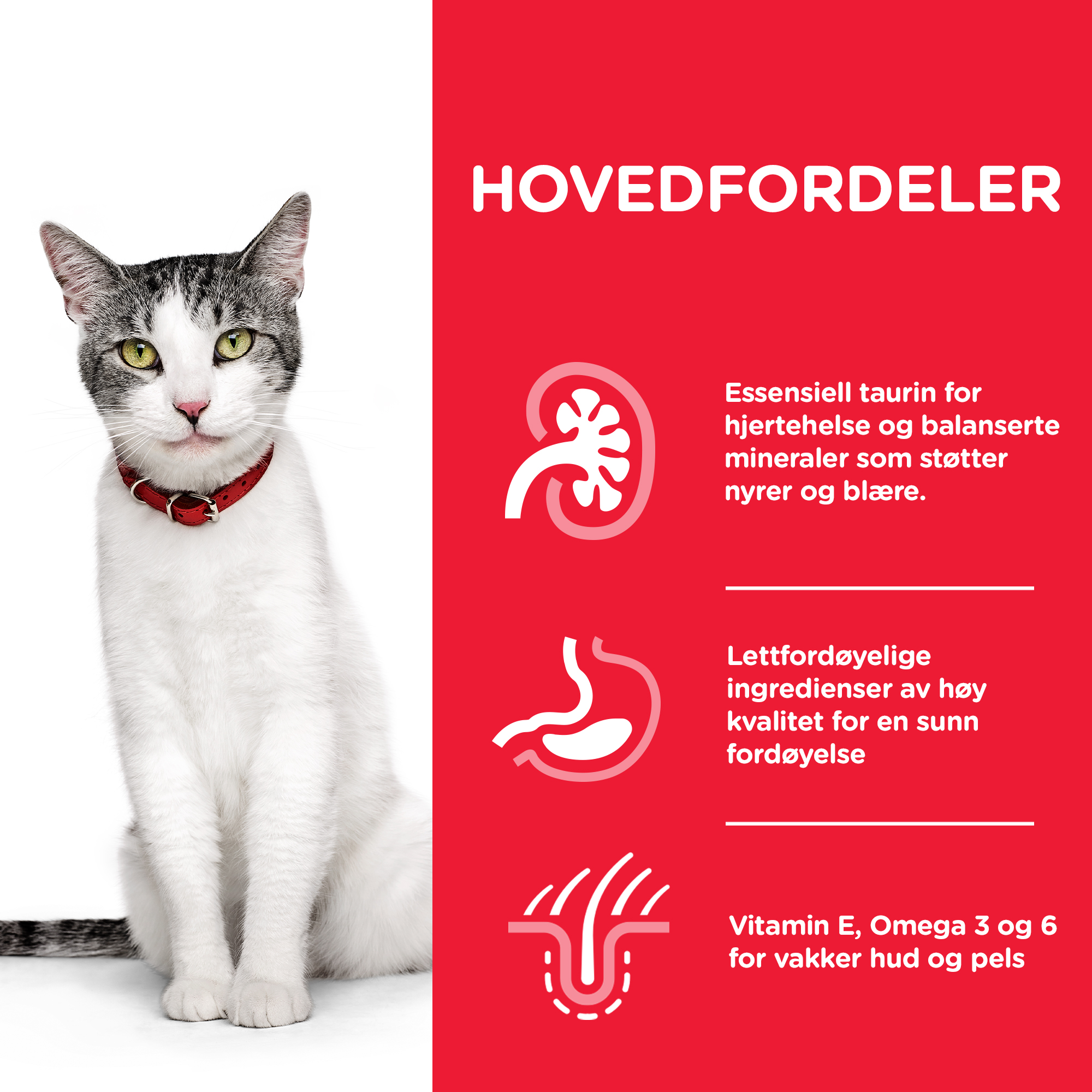 Hill's Senior 11+ Kylling