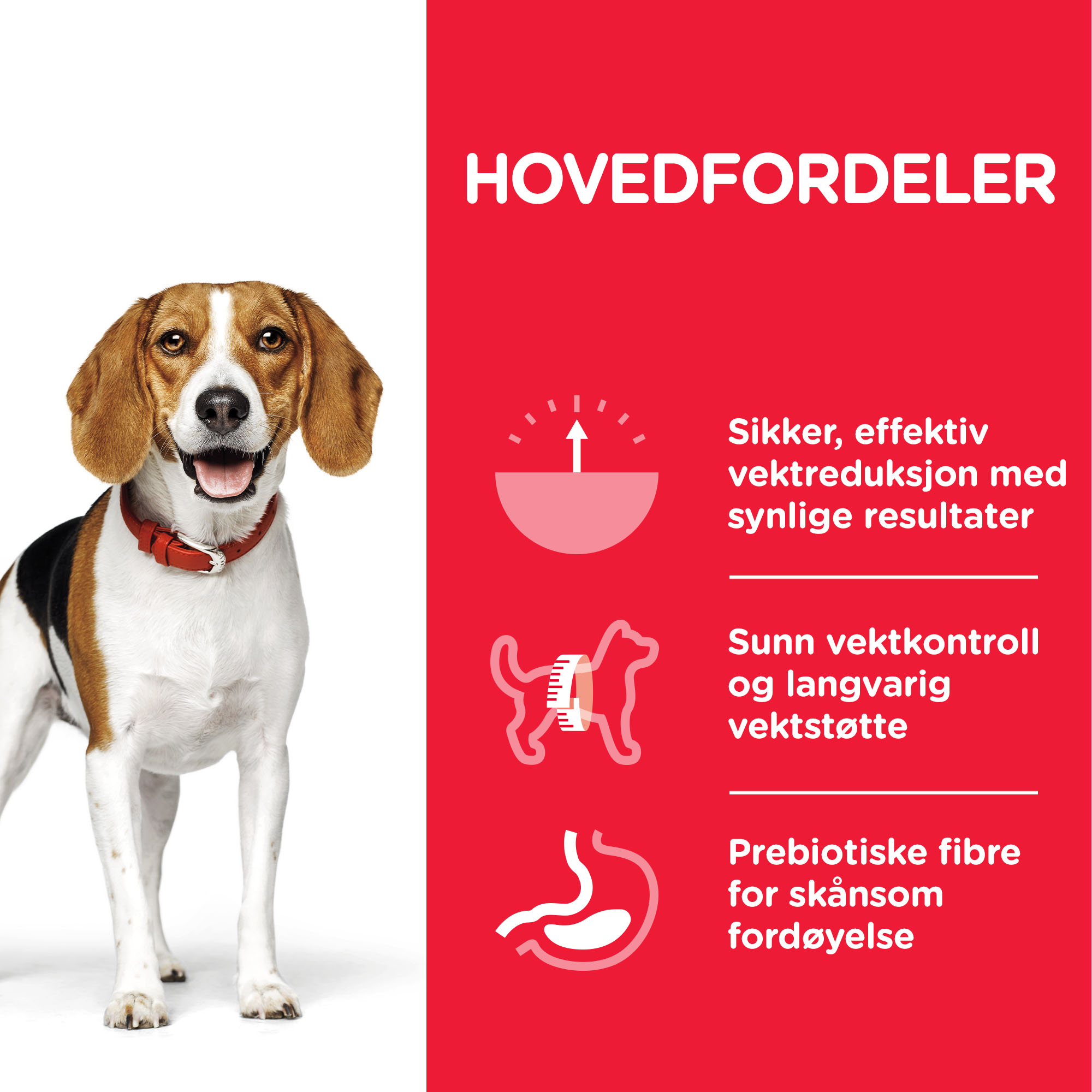 SP Canine Adult Perfect Weight Medium Chicken 12kg