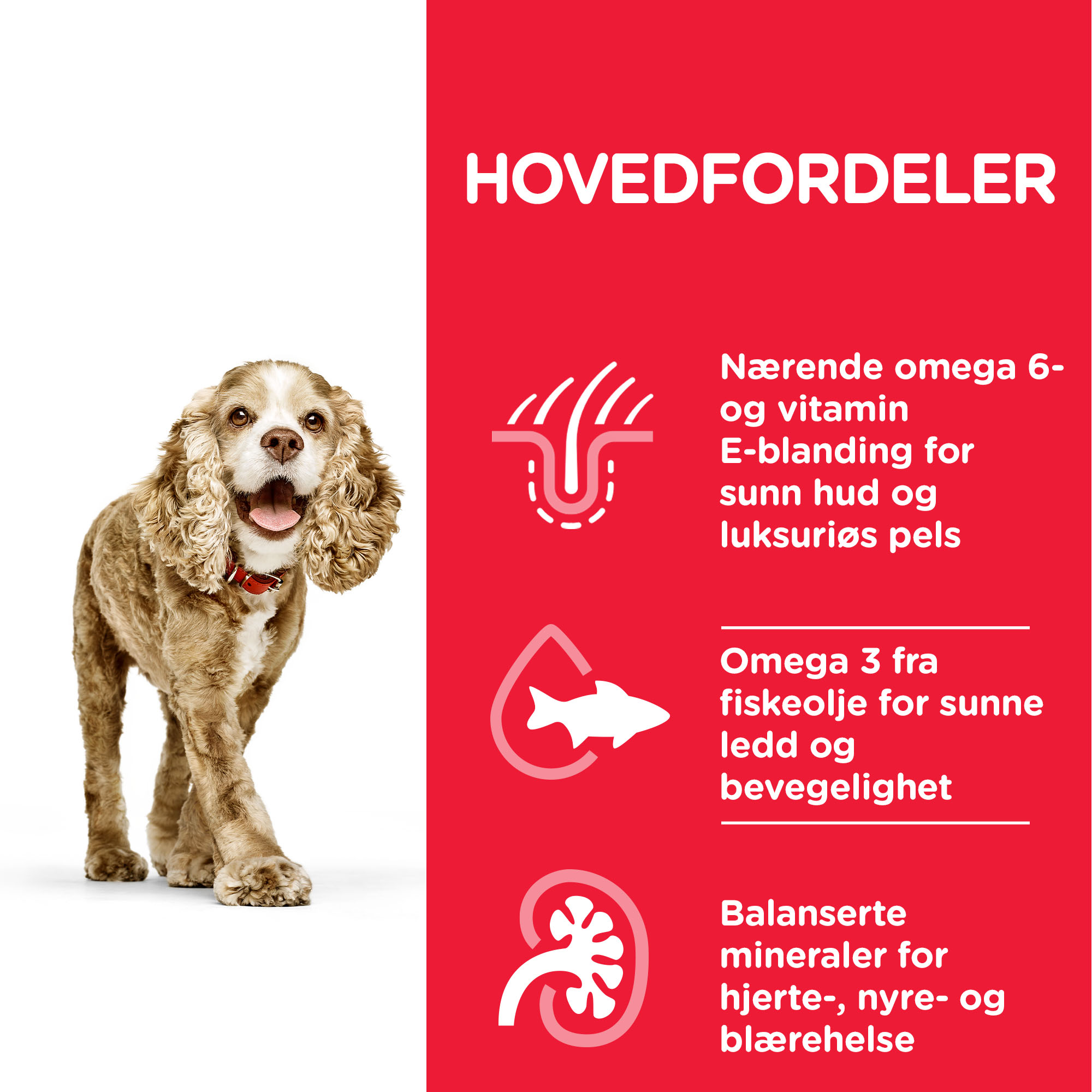 Hill's Small & Mini Senior 11+