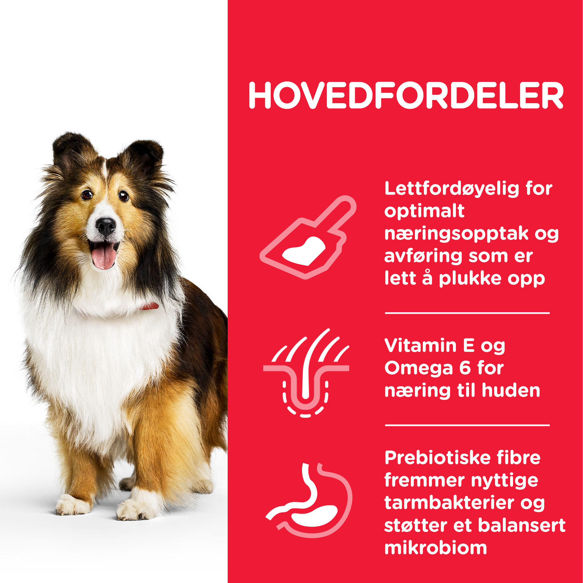 Hill's Sensitive stomach & skin Medium Adult