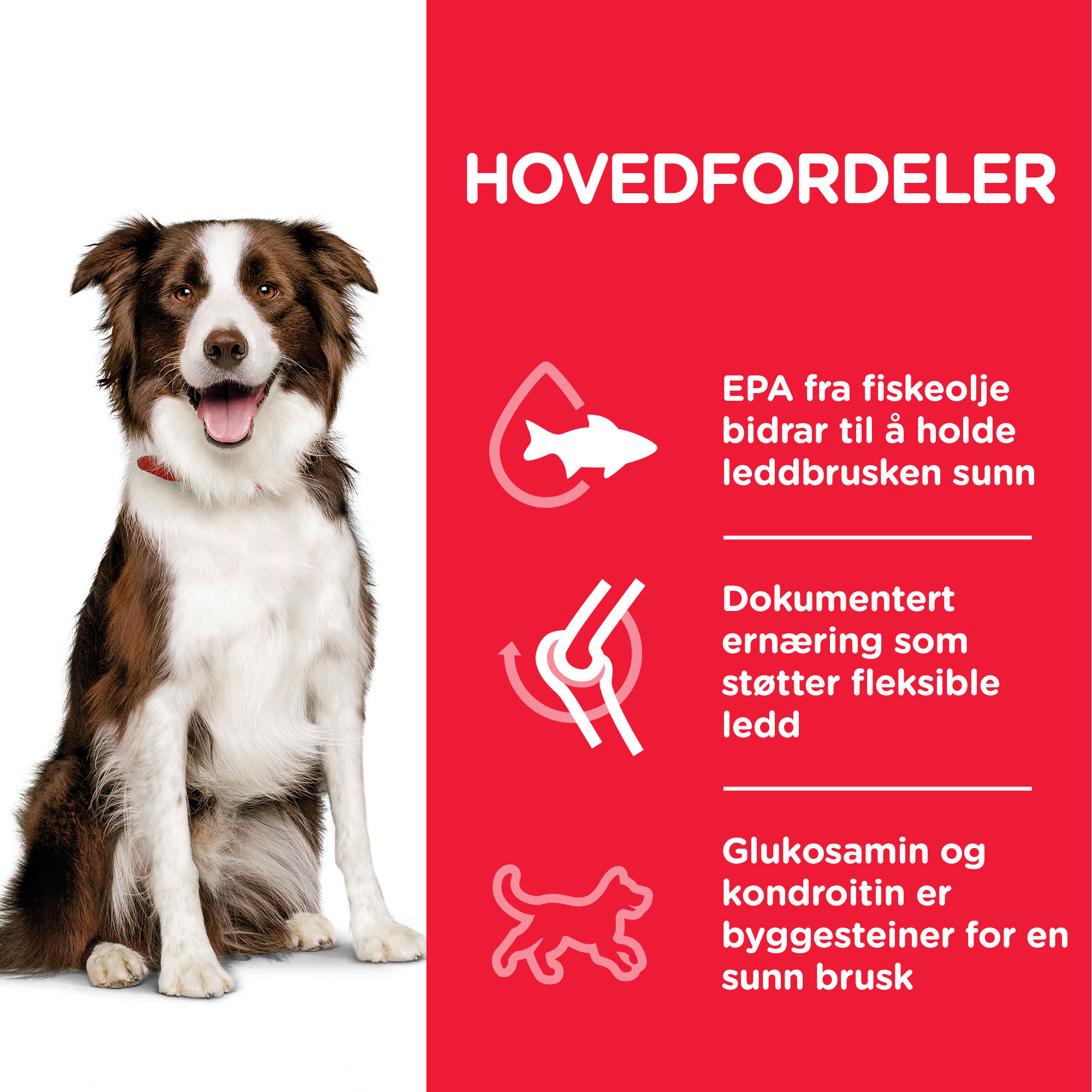 Hill's Healthy mobility Medium Adult