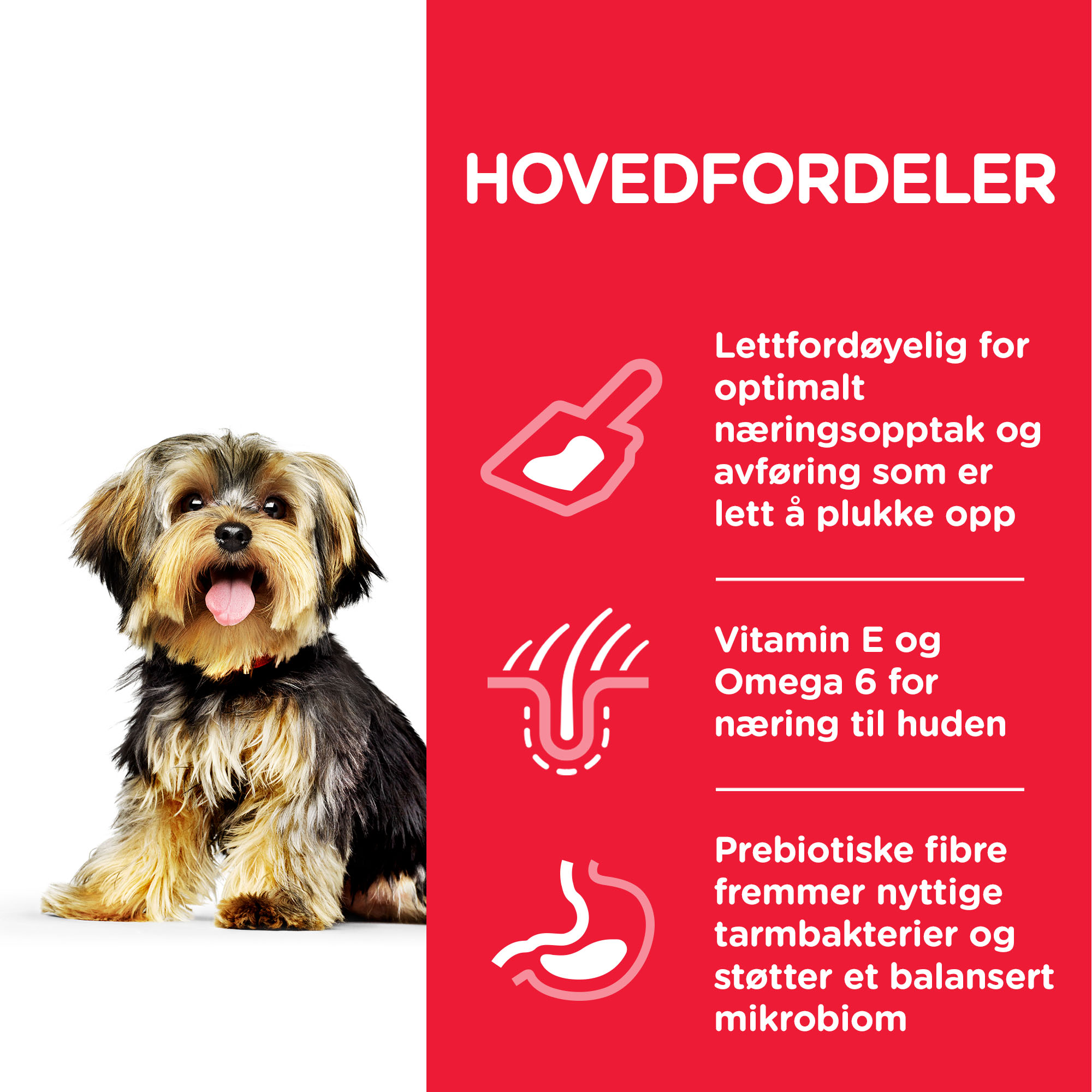 SP Canine Adult Sen.Stomach&Skin Small&MiniChicken 6