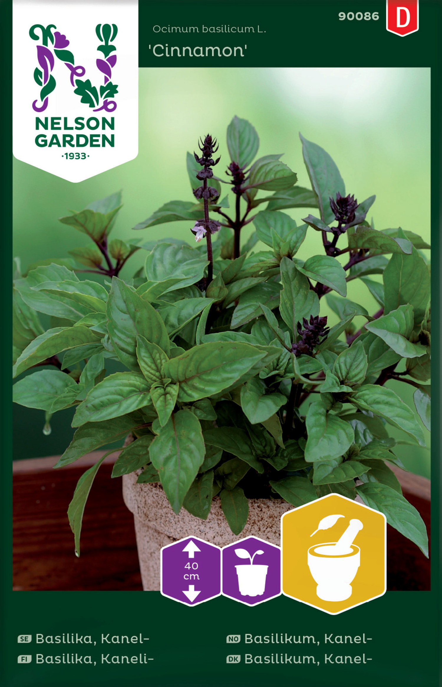 Basilika, Kanel-, Cinnamon