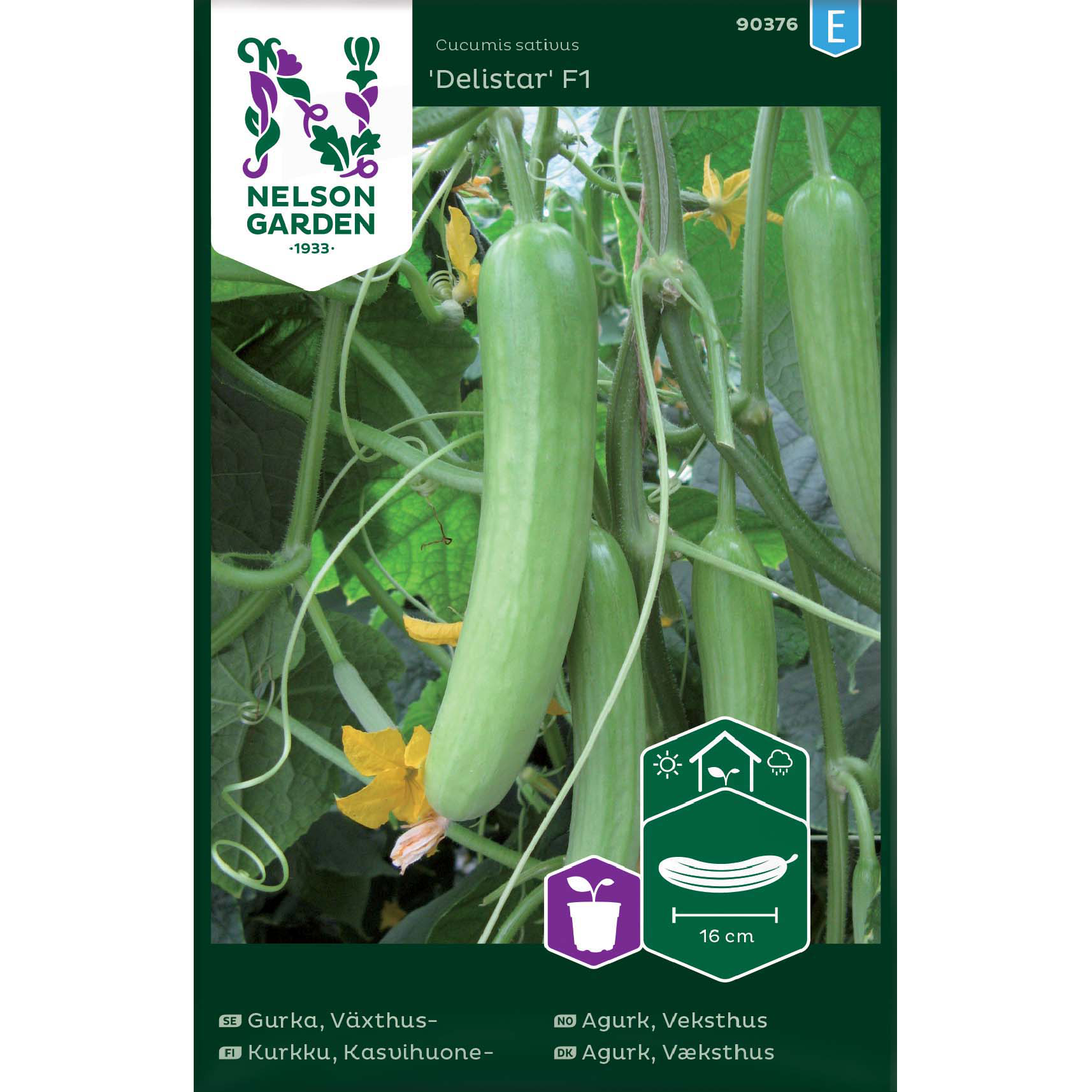 Veksthusagurk 'Delistar'
