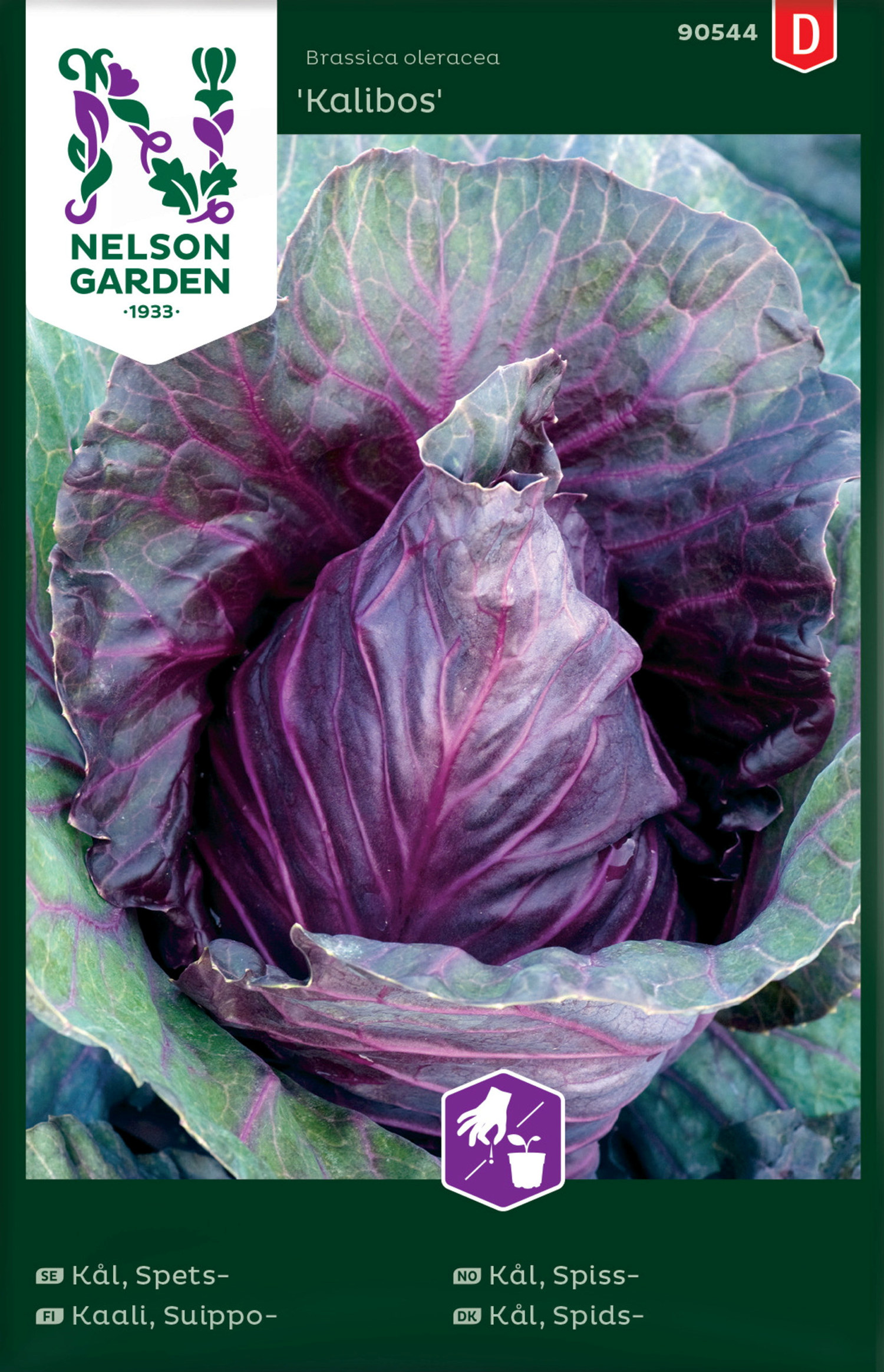 Kål, Spets-, Kalibos