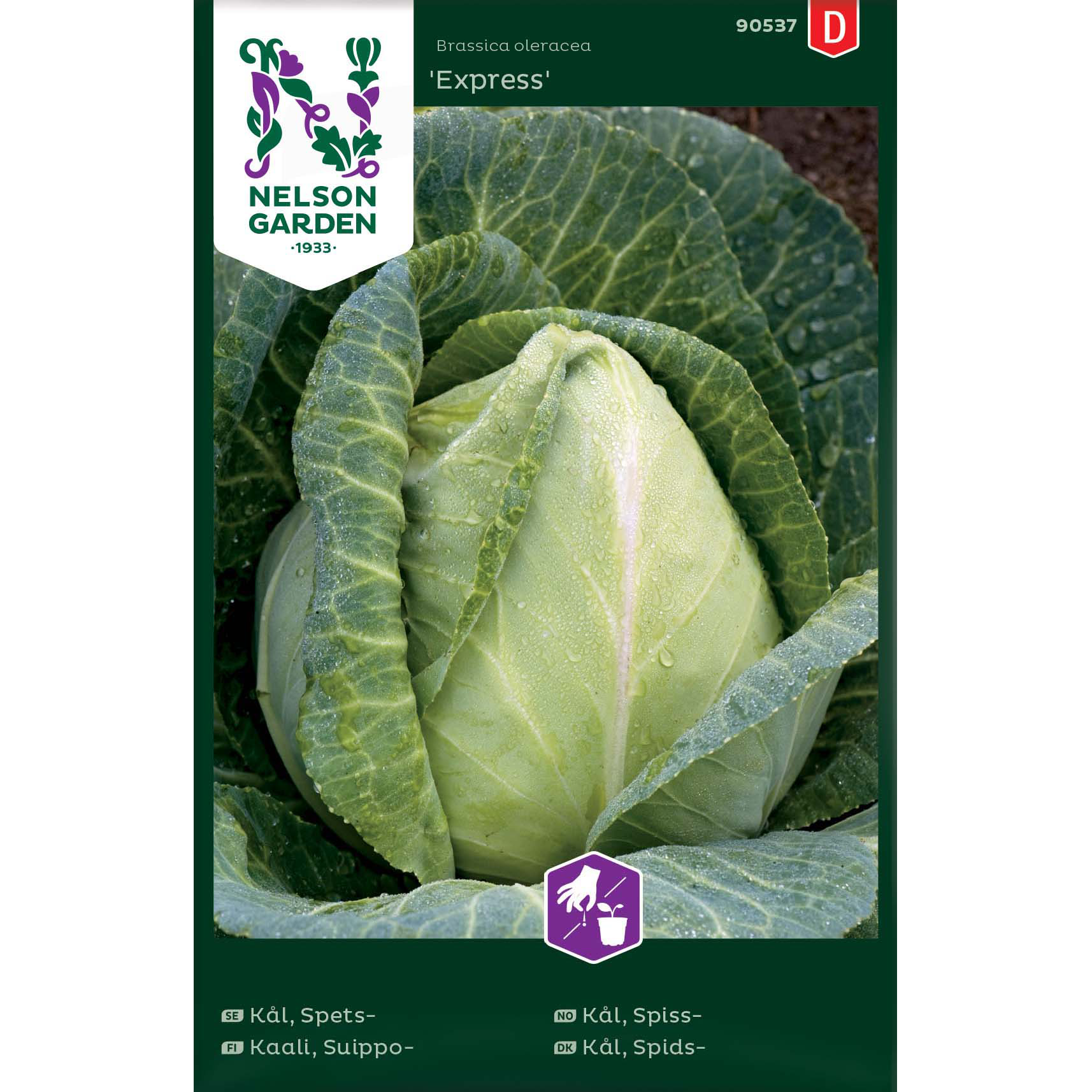 Kål, Spets-, Express