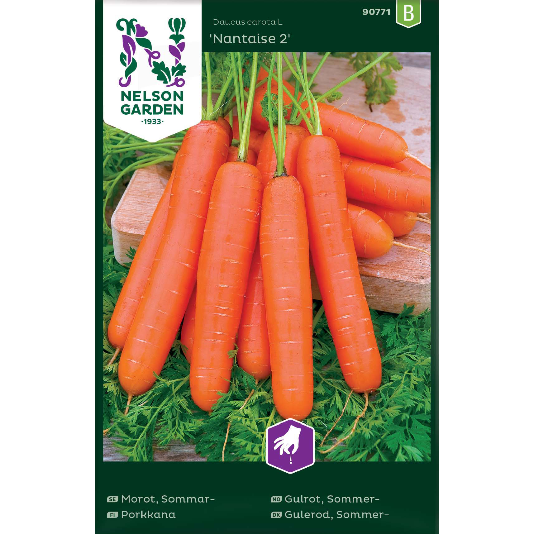 Sommarmorot 'Nantaise 2'