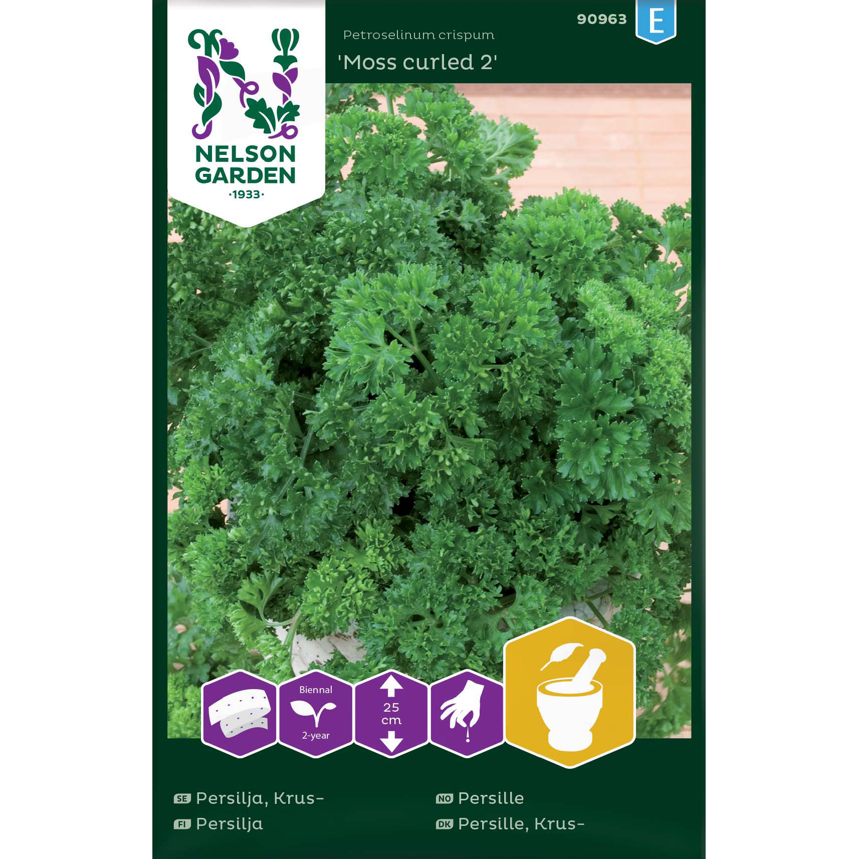 Kruspersilja 'Moss curled 2'