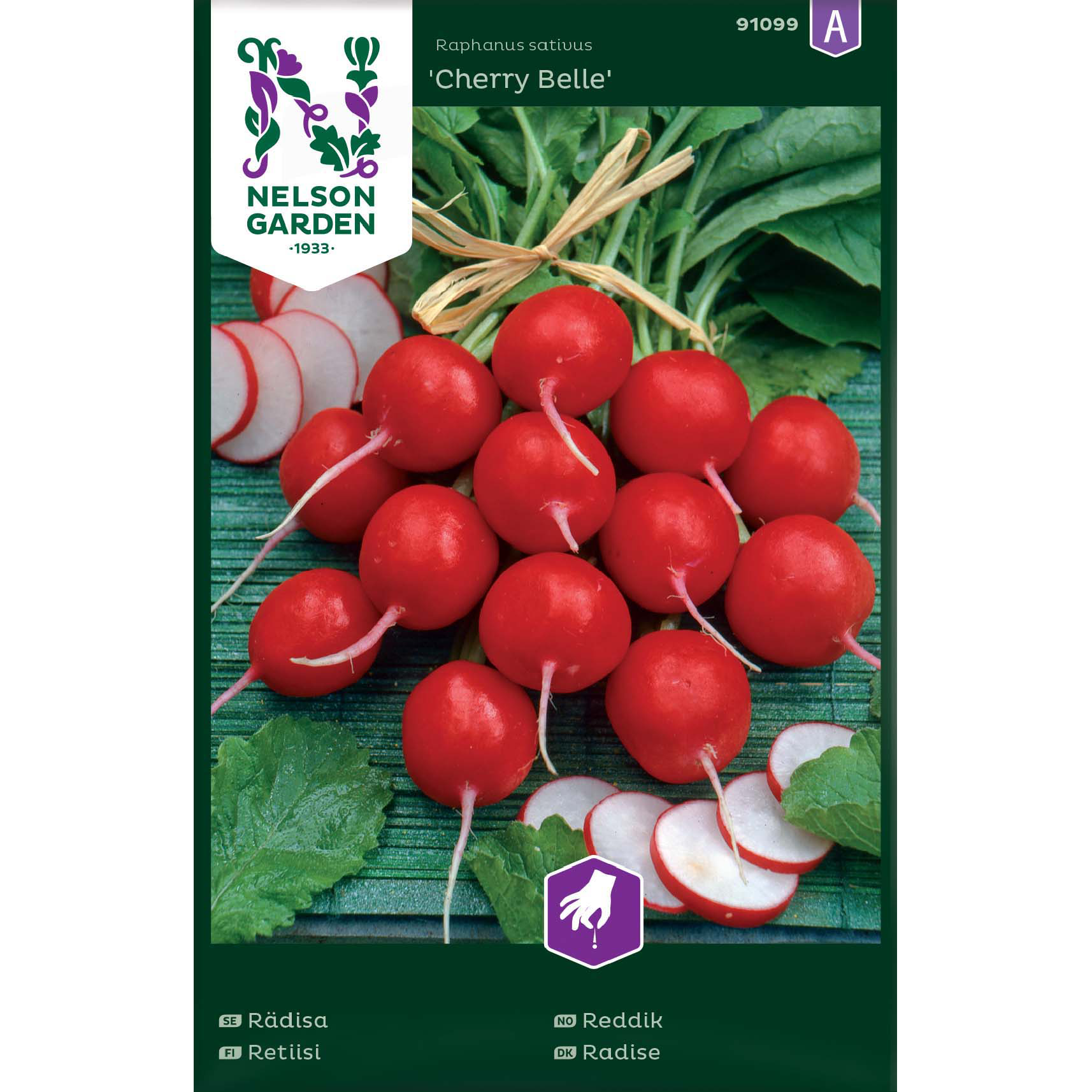 Rädisa, Cherry Belle, rund