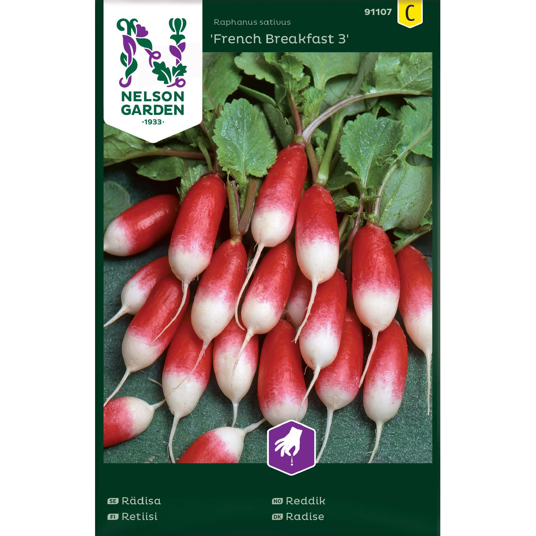 Rädisa, French Breakfast 3, av