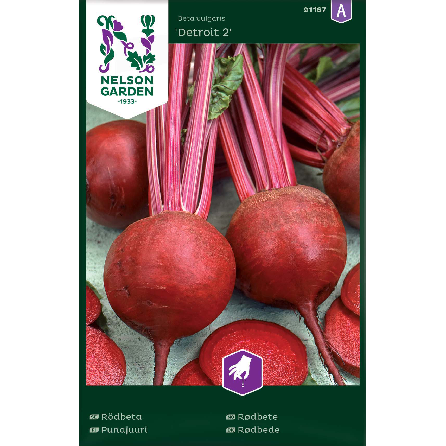 Rödbeta, Detroit 2, rund