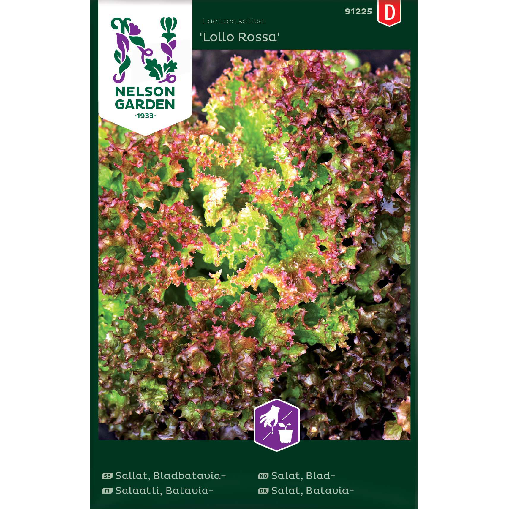 Sallat, Bladbatavia-, Lollo Ro