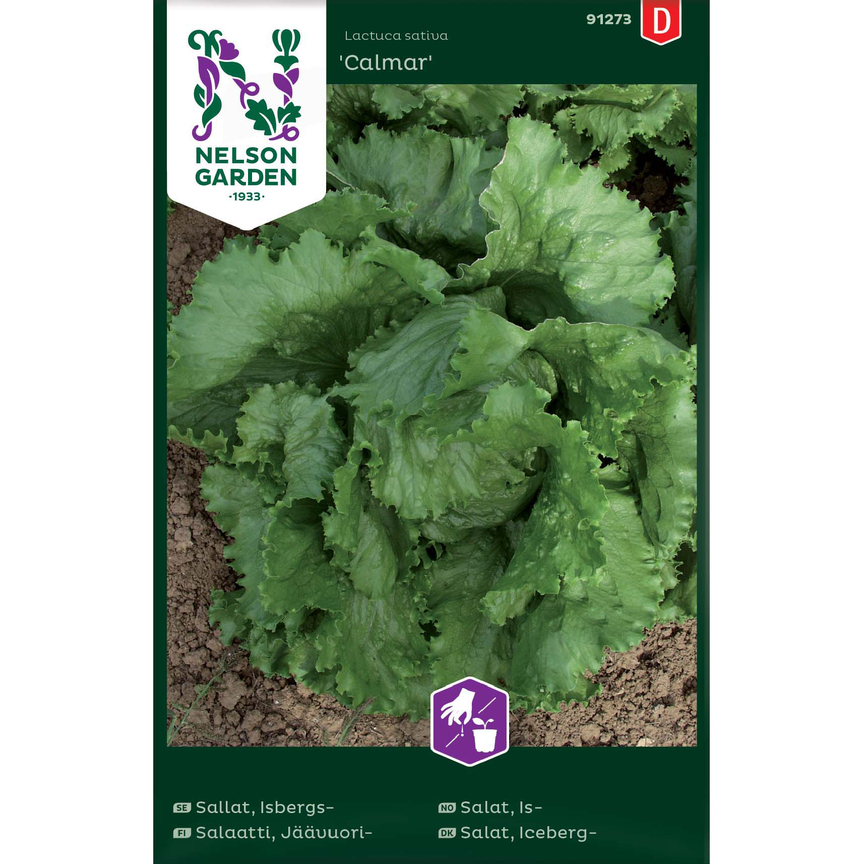 Isbergssallat 'Calmar'