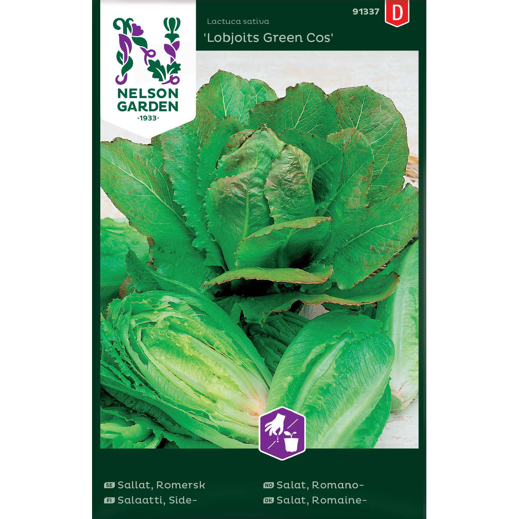 Sallat, Romersk-, Lobjoits Gre