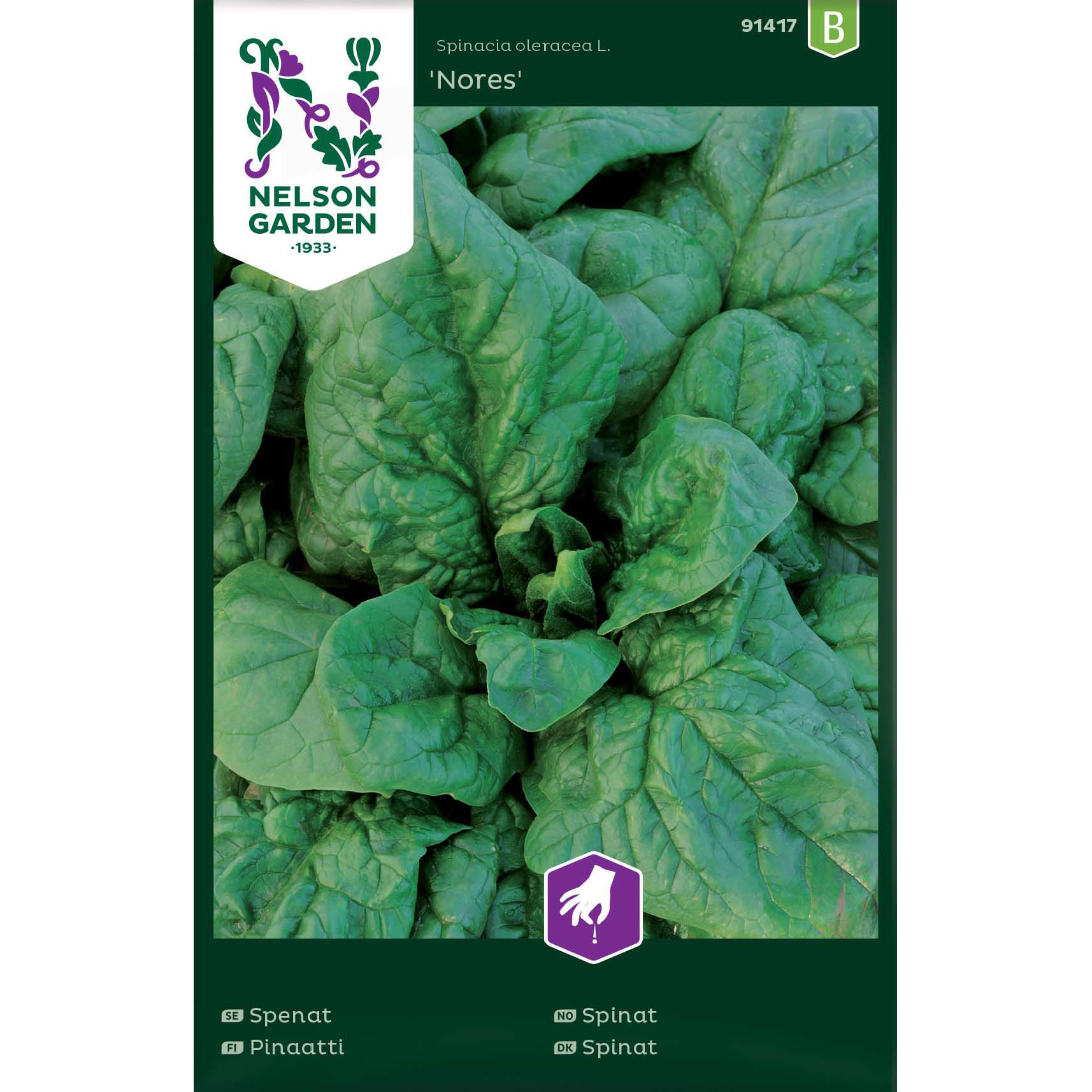 Spenat 'Nores'