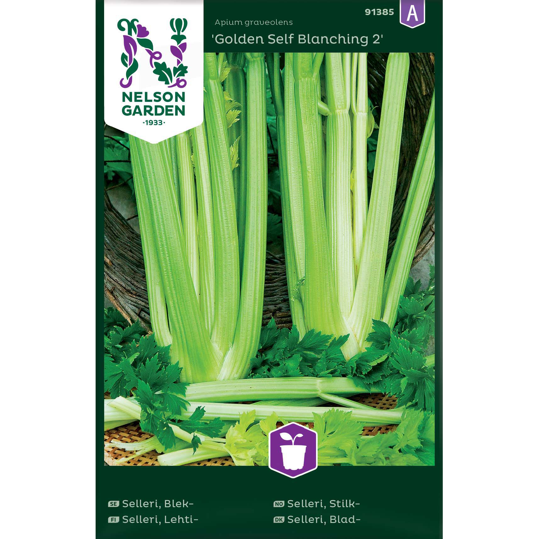 Selleri, Blek-, Golden Self Bl