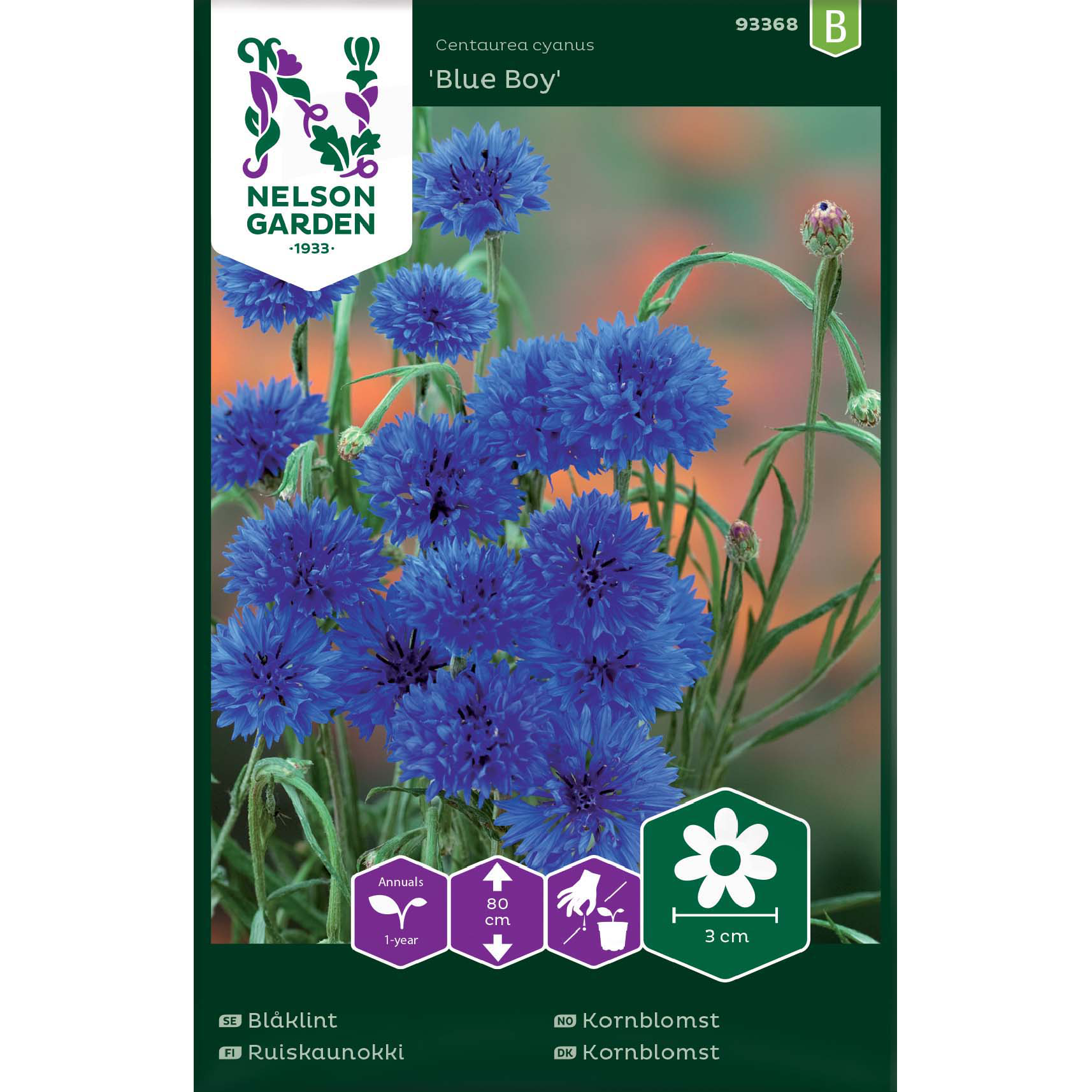 Blåklint 'Blue Boy'