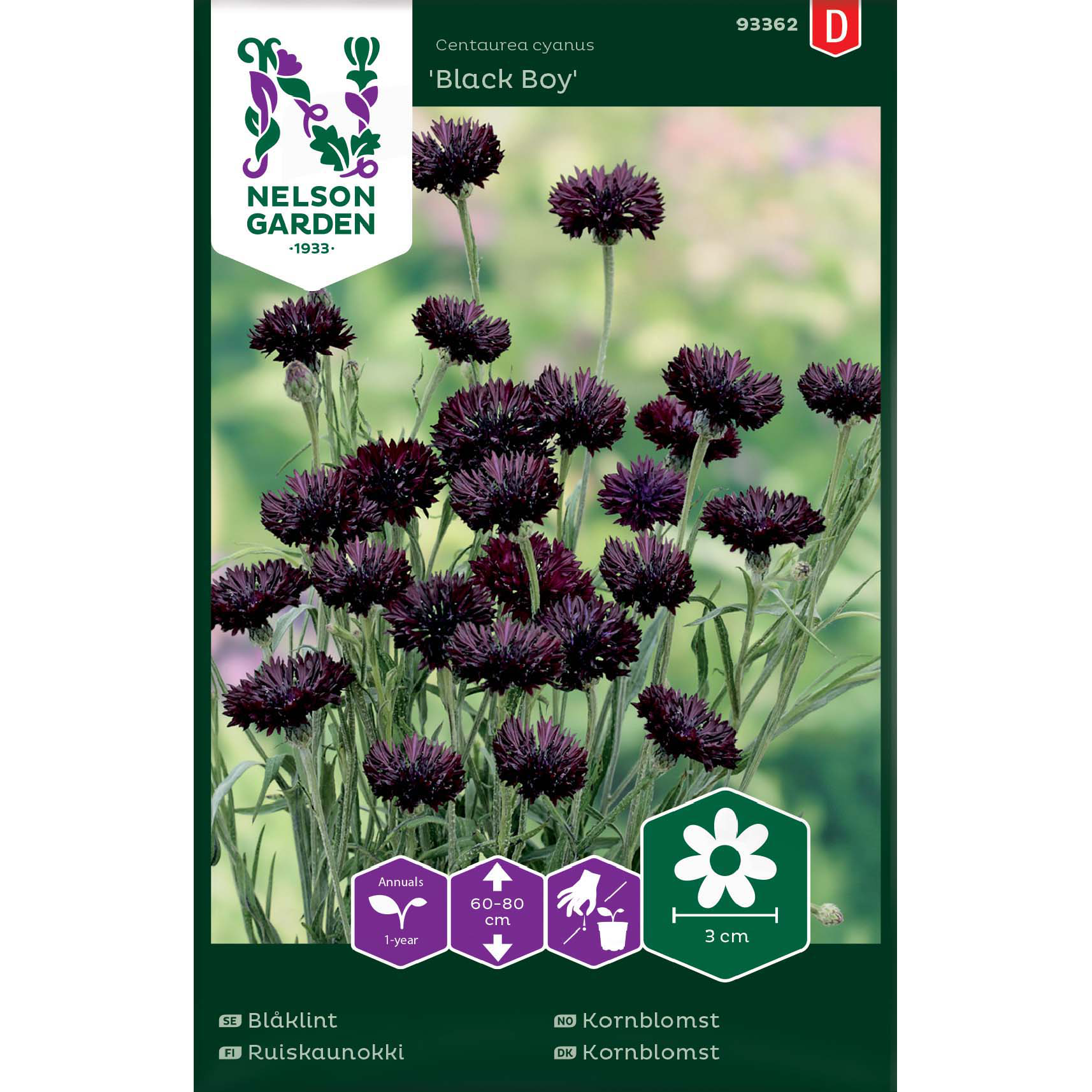 Blåklint 'Black Boy'