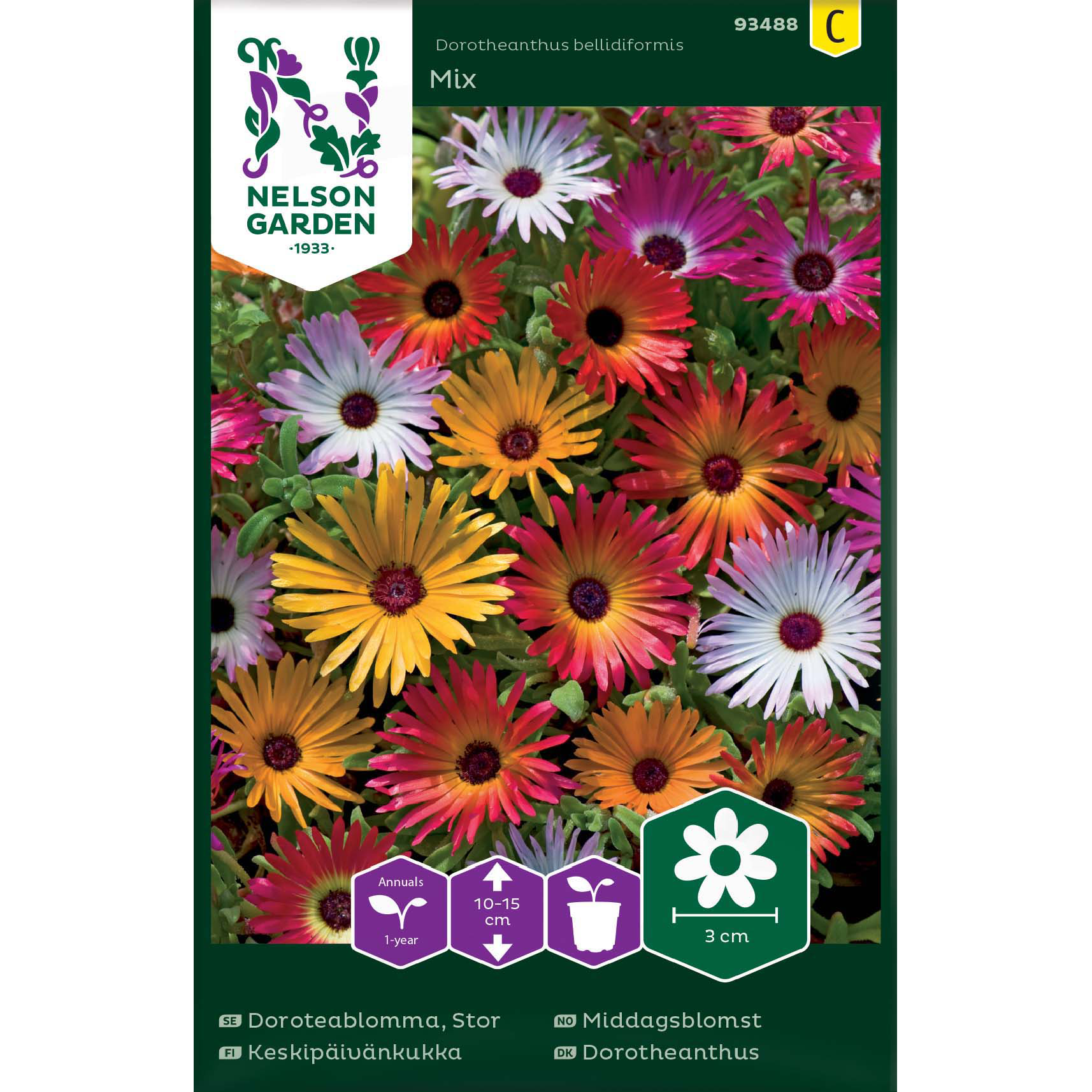 Stor Doroteablomma Mix