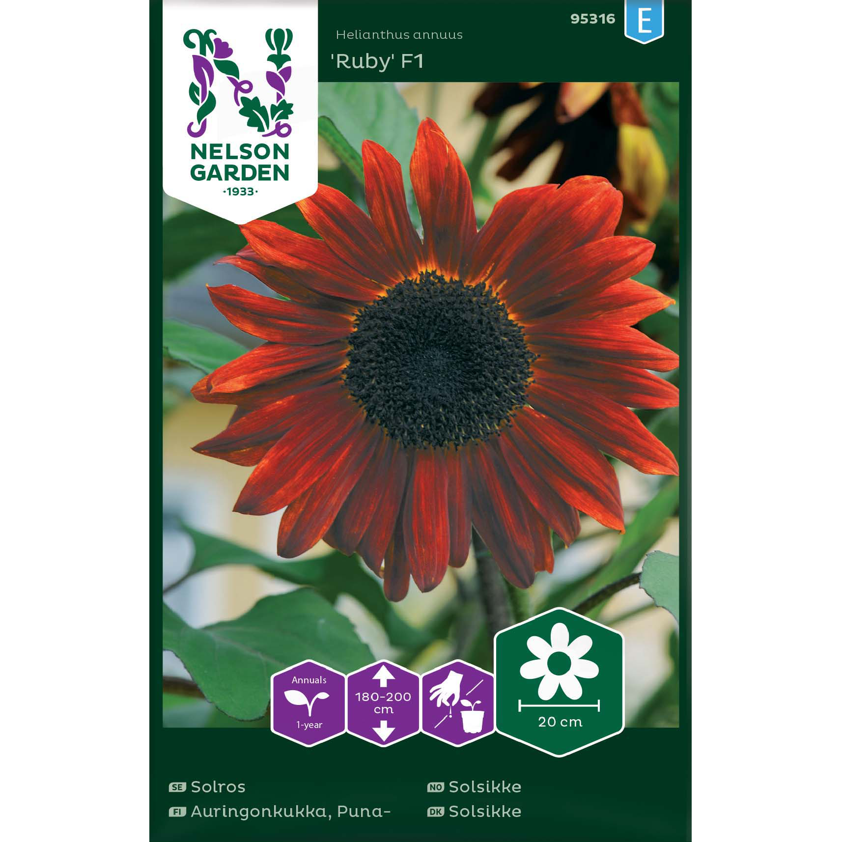 Solros, Ruby F1, hög